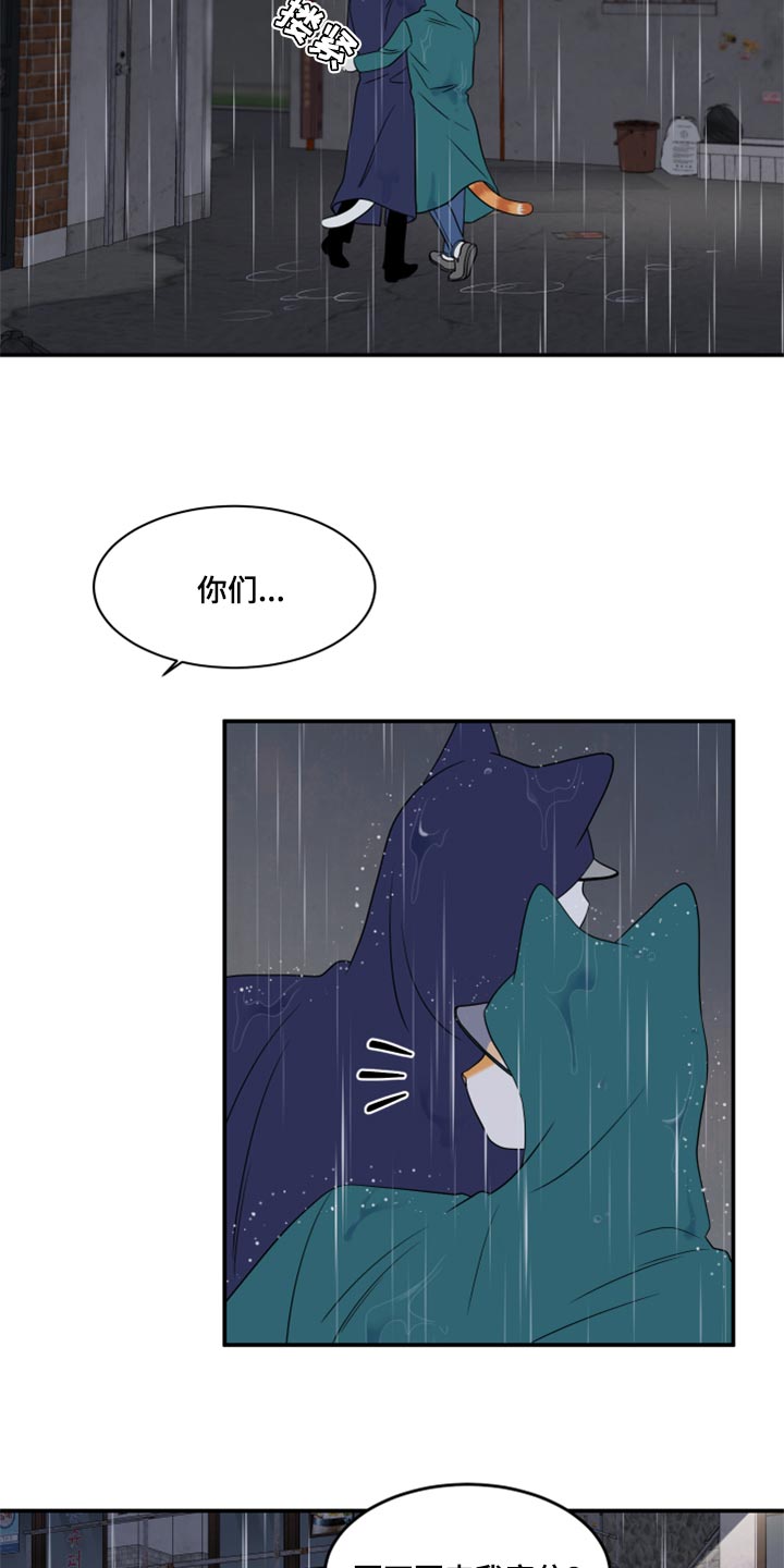 灵猫欧米伽免费阅读漫画,第54章：【第二季】你要丢下我?1图