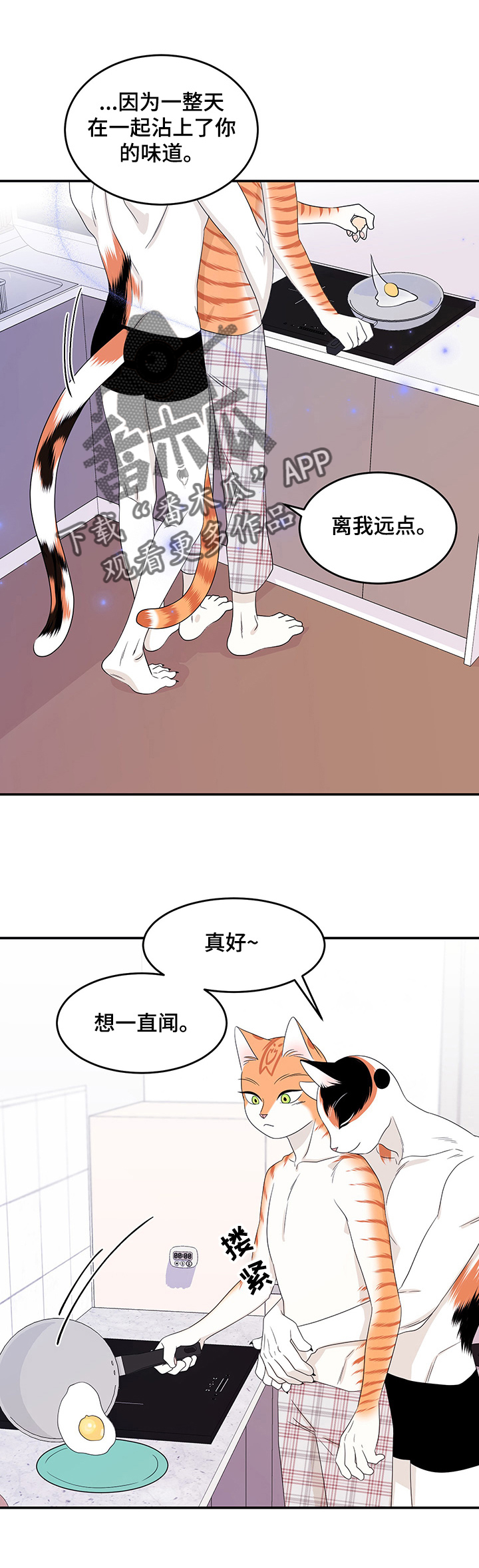 灵猫欧米伽漫画免费漫画,第14章：烧焦2图