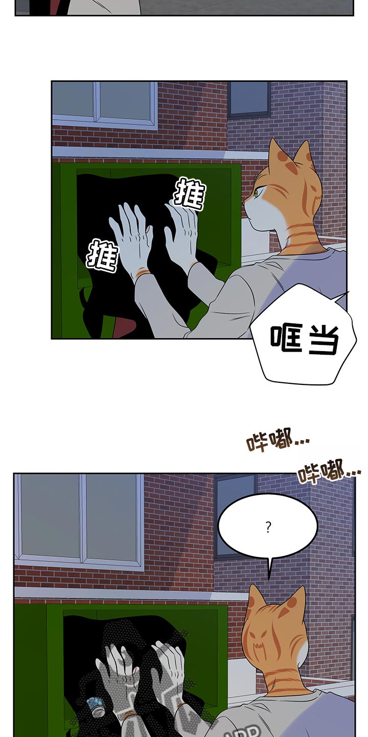 灵猫欧米伽漫画,第43章：世道不太平2图