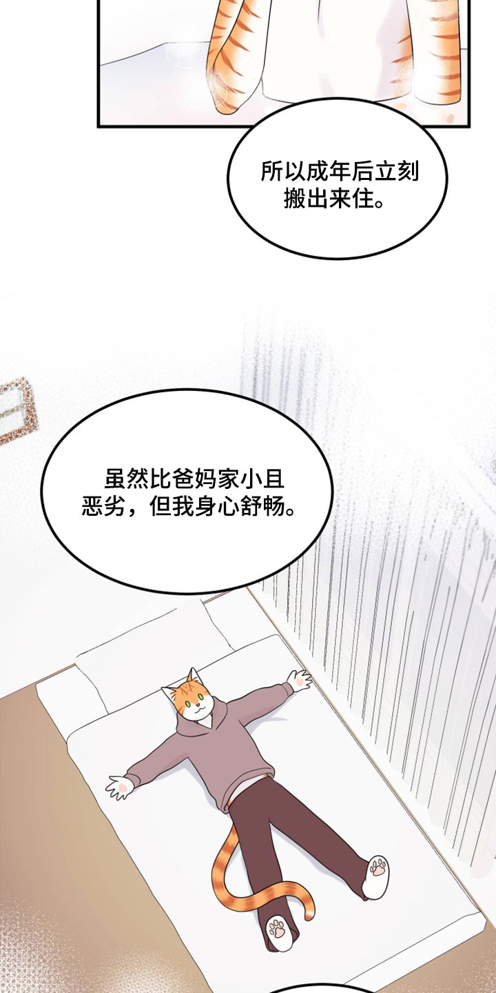 灵猫欧米伽漫画,第71章：【第二季】撒娇2图