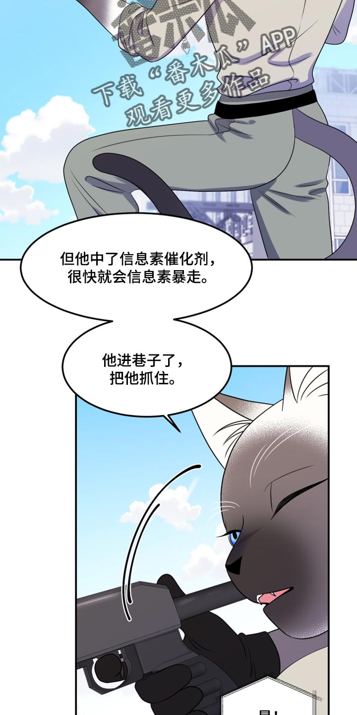 灵猫欧米伽在线免费看漫画漫画,第49章：让我保护你1图