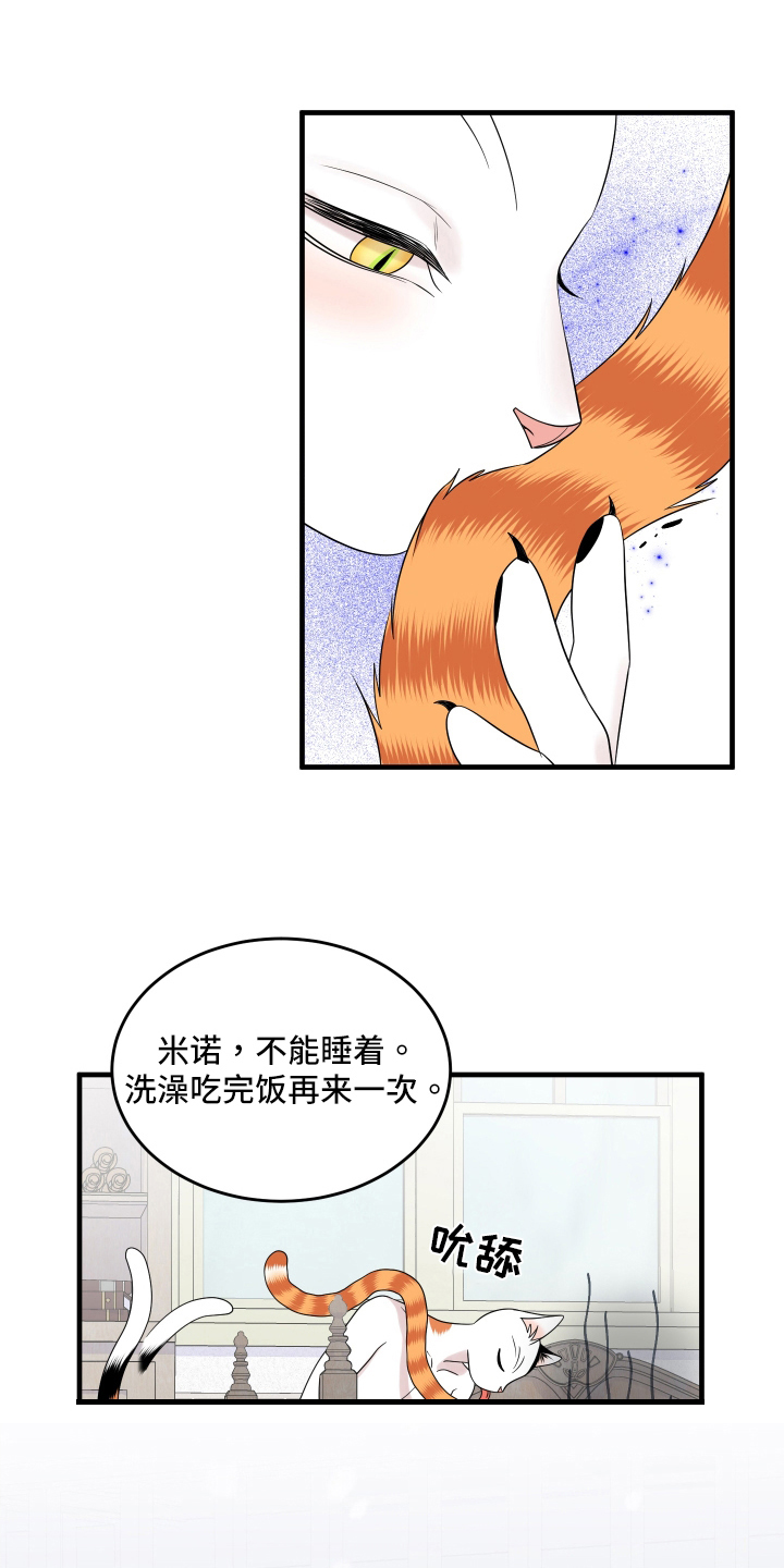 灵猫欧米伽第三季什么时候出漫画,第105章：【第二季】分析2图