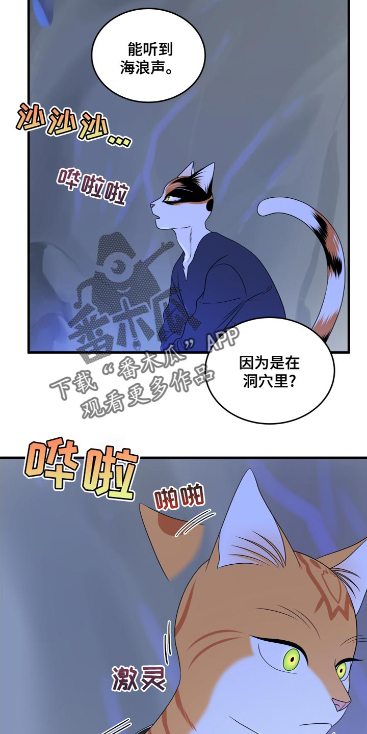 漫画灵猫欧米伽漫画,第95章：【第二季】害怕洞穴2图