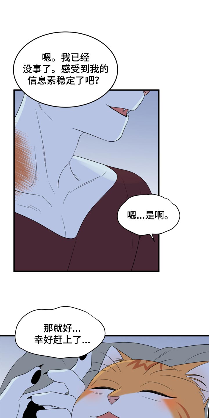 灵猫欧米伽漫蛙叫什么漫画,第66章：【第二季】你可以放心了2图