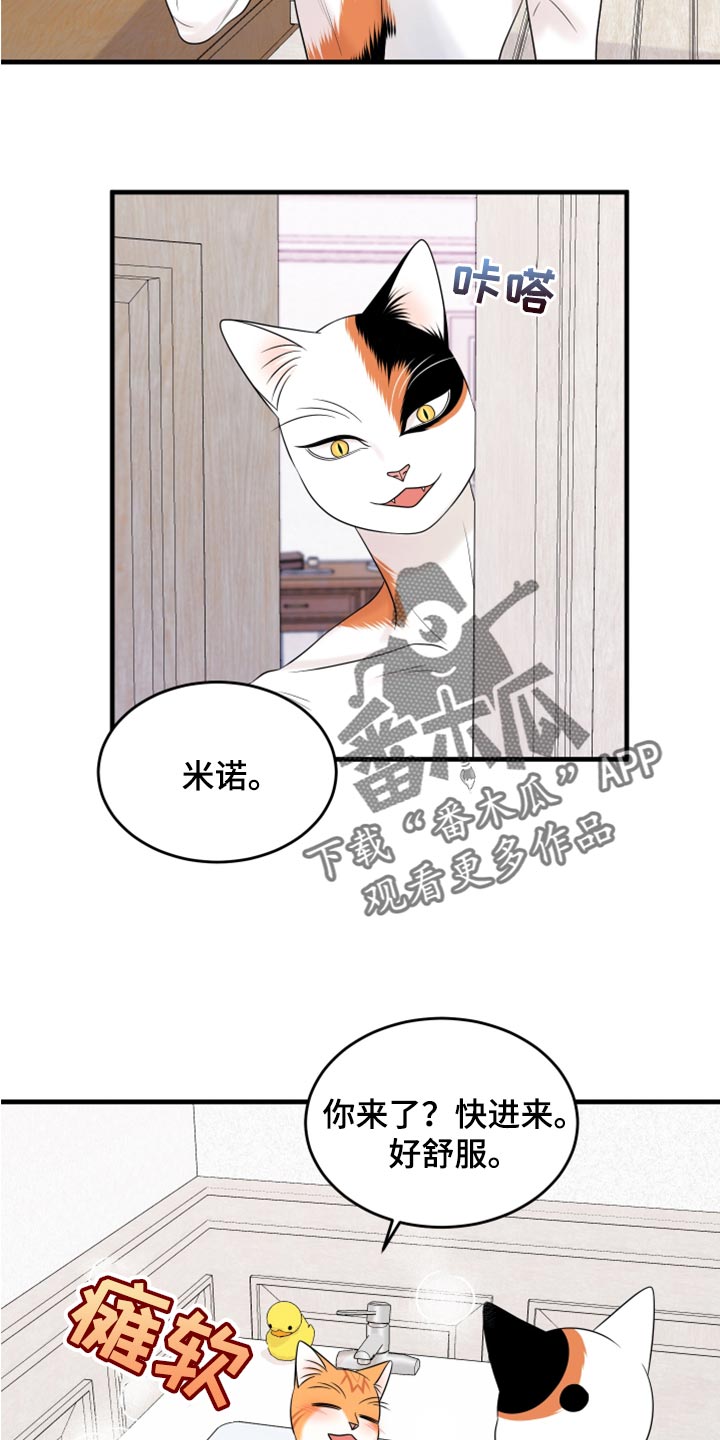 灵猫欧米迦漫画,第69章：【第二季】责任与义务1图