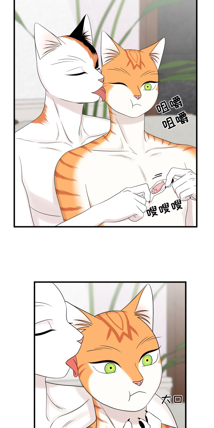 灵猫欧米伽最新话漫画,第105章：【第二季】分析1图