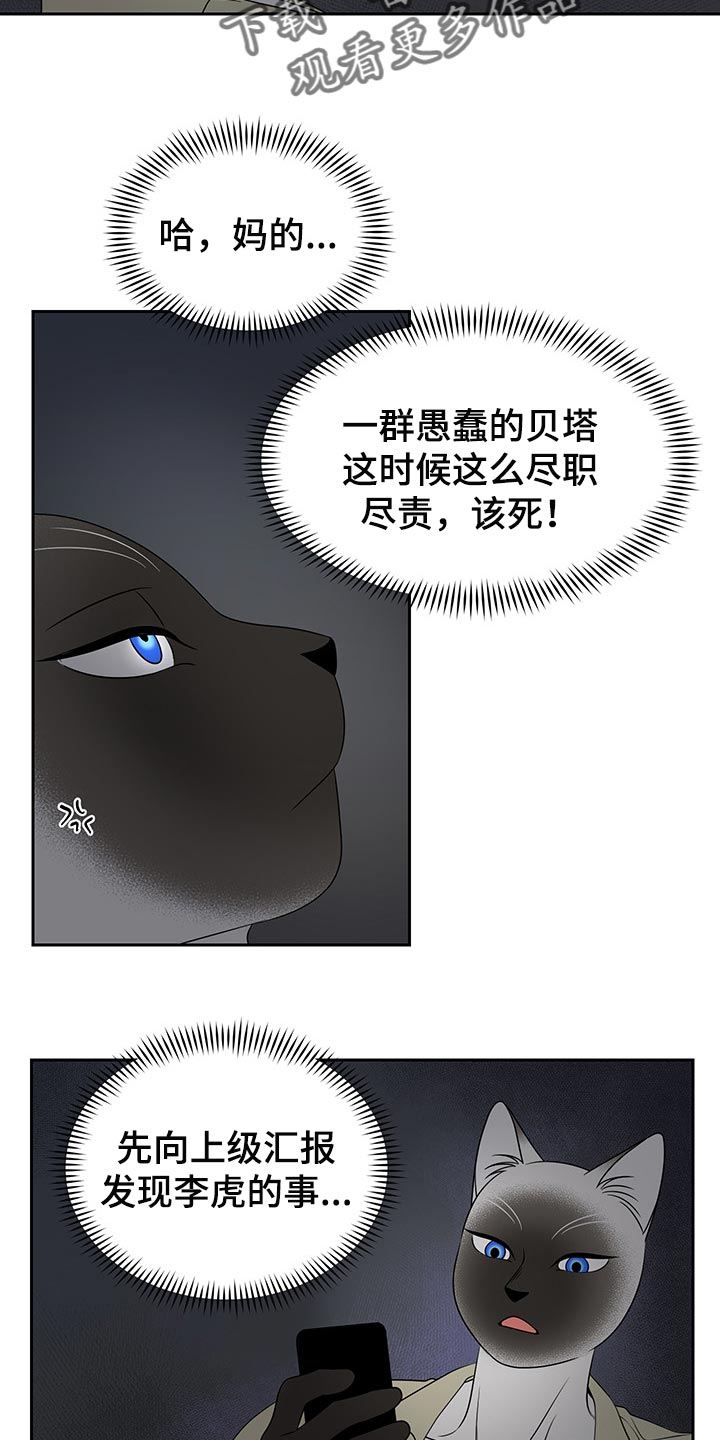 灵猫欧米伽在哪里免费看漫画,第40章：平凡的生活1图