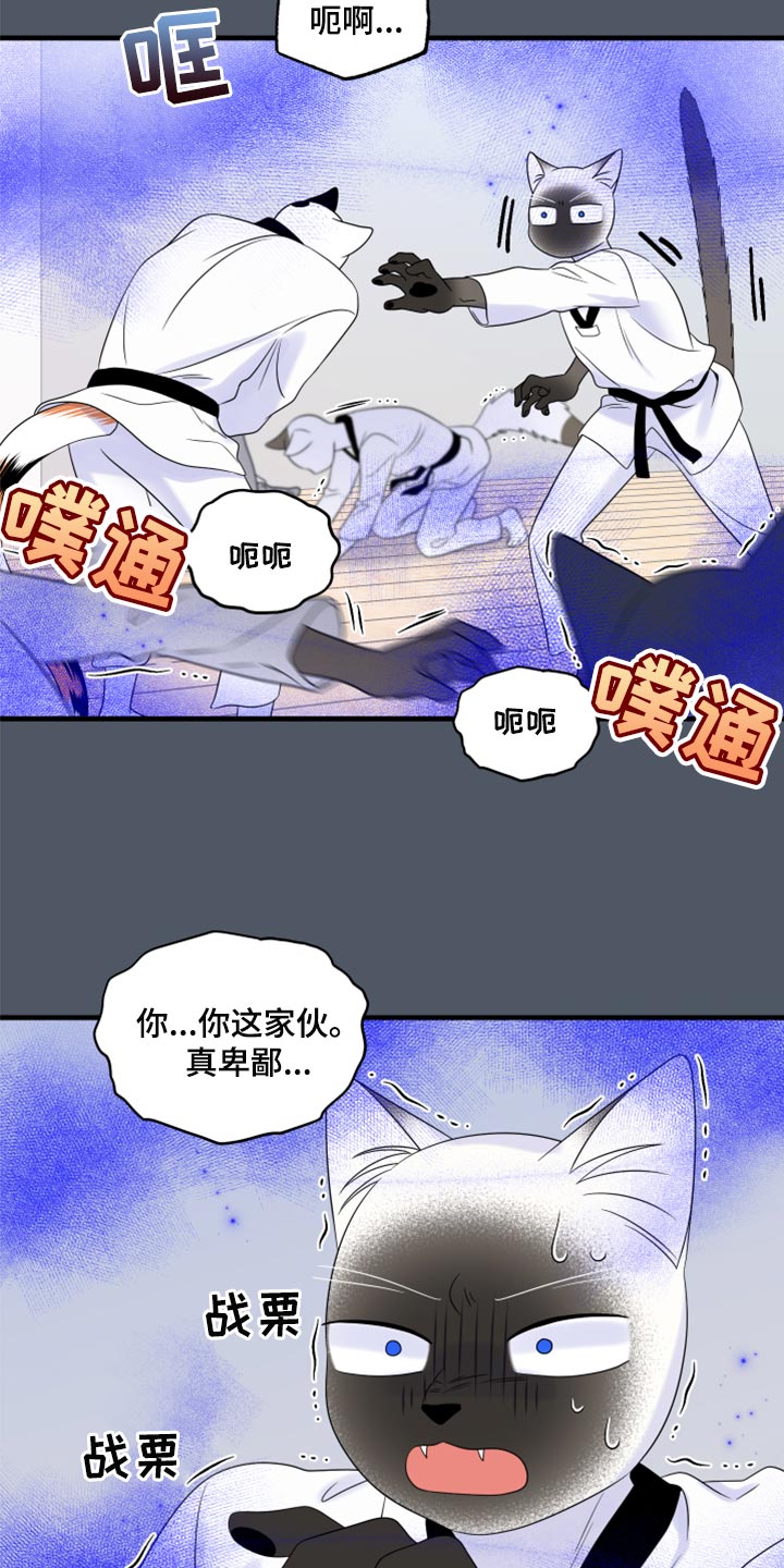 灵猫欧米伽漫画全集免费观看漫画,第76章：【第二季】有什么特别2图