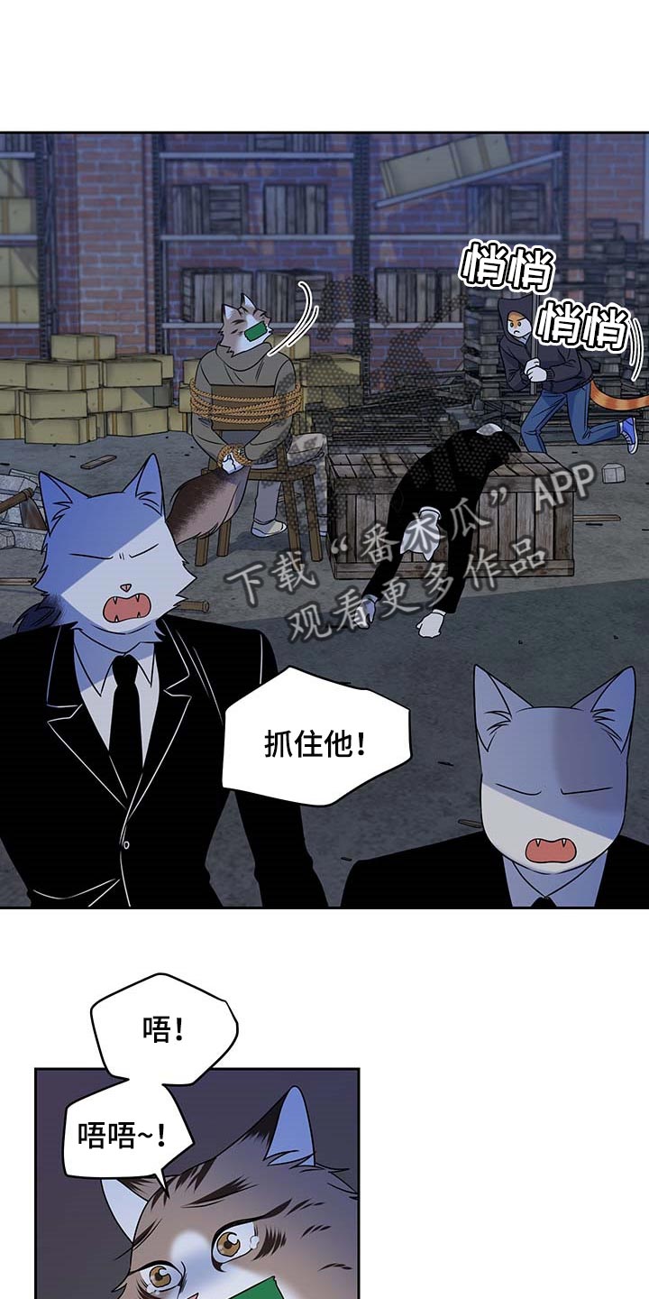 灵猫欧米伽漫画下拉漫画,第38章：罪有应得1图