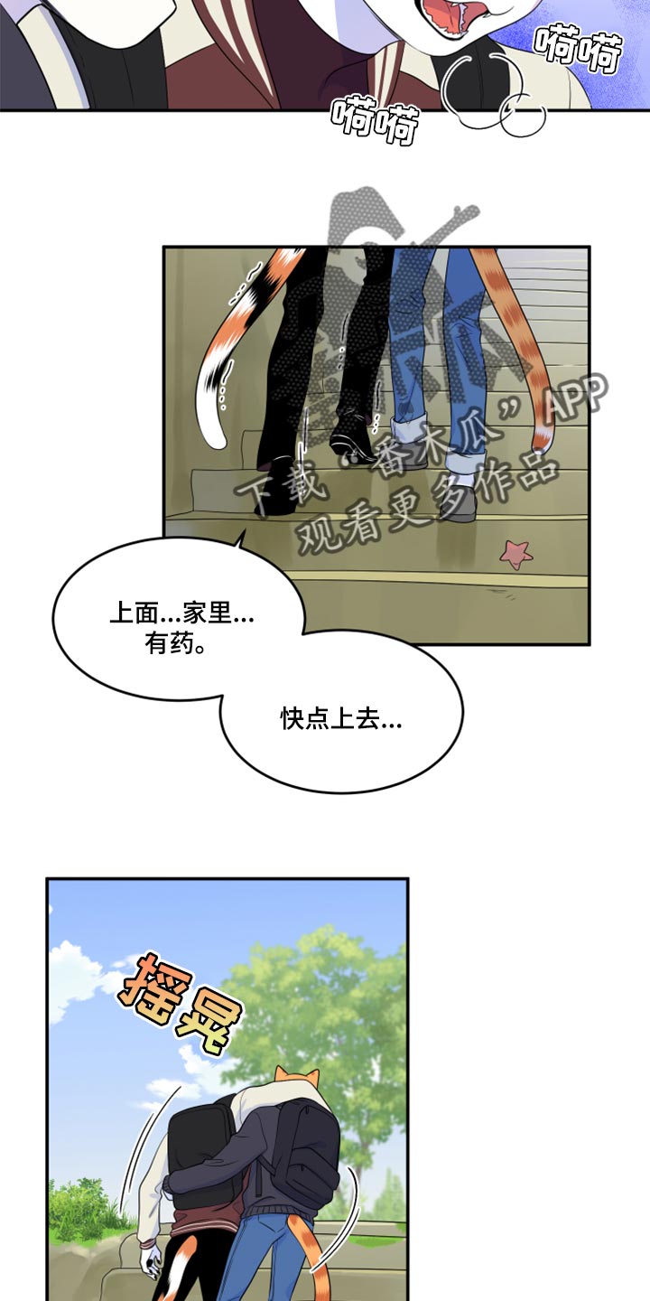 灵猫欧米伽合集漫画,第60章：【第二季】失去理智1图