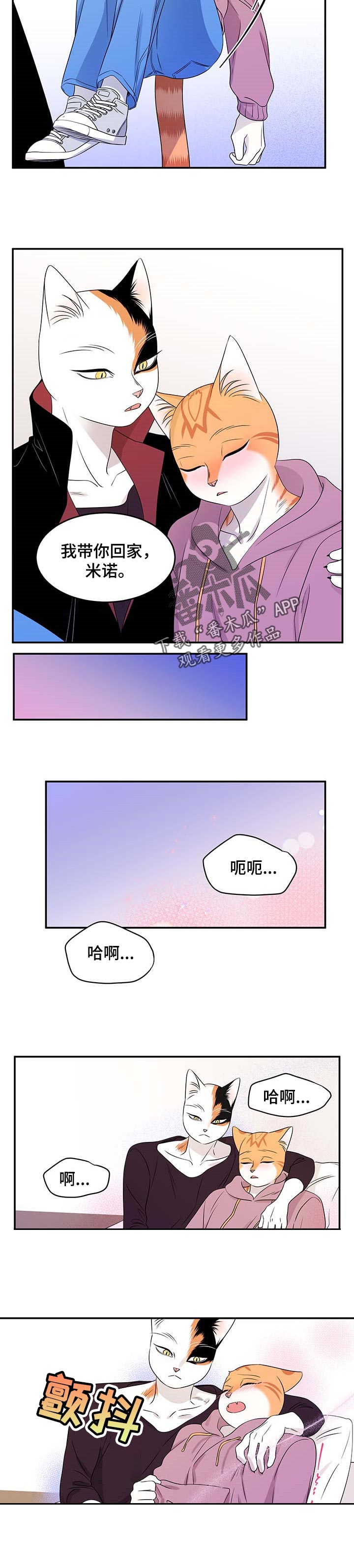 灵猫小说漫画,第29章：我带你回家1图