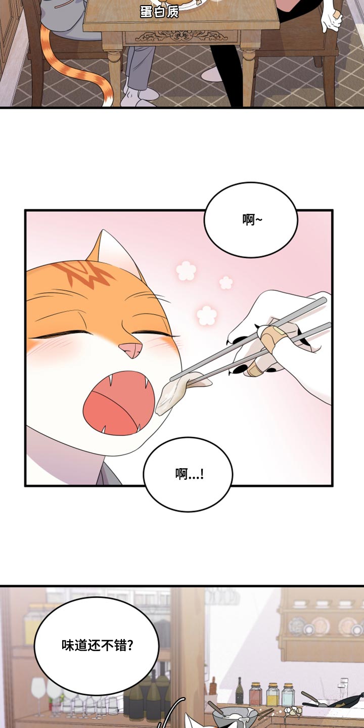 灵猫欧米伽双猫漫画,第100章：【第二季】那我们出去吧1图