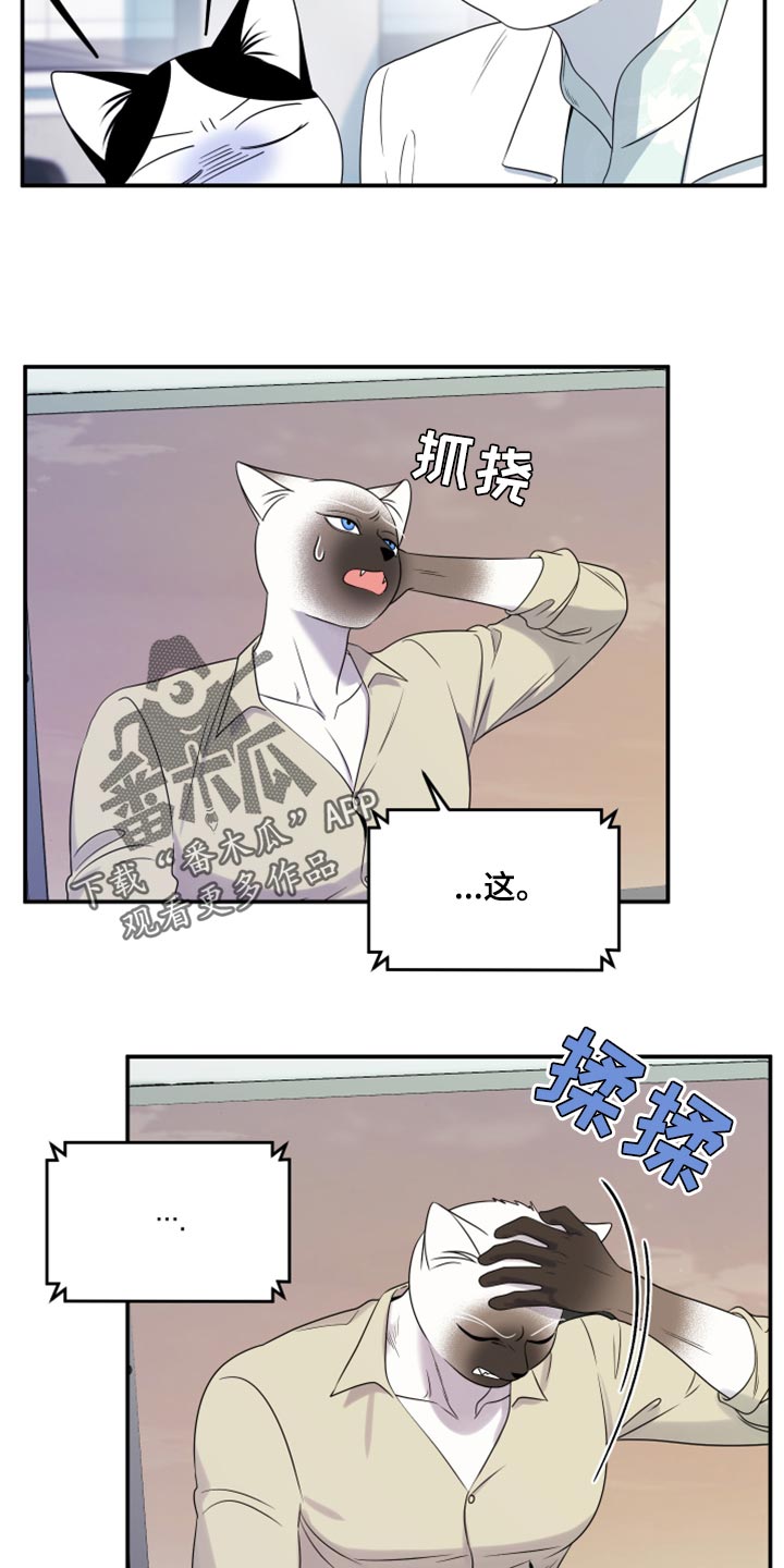 灵猫欧米伽漫画全集免费观看漫画,第57章：【第二季】新来的2图