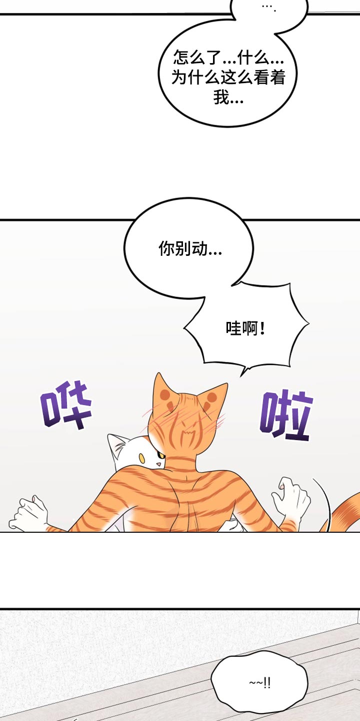 漫画灵猫欧米伽漫画,第72章：【第二季】这是折磨啊1图