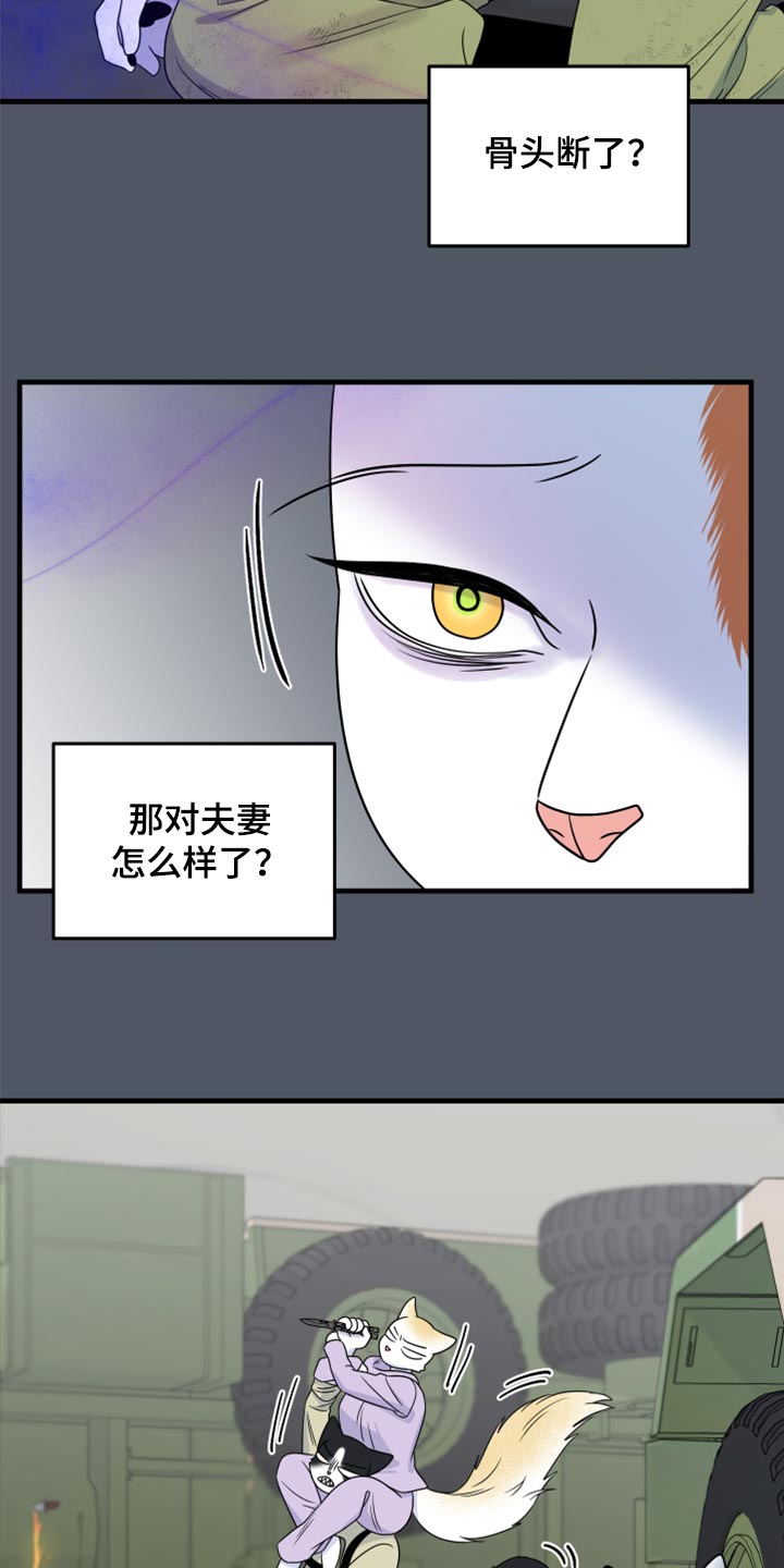 灵猫欧米伽漫画免费漫画,第84章：【第二季】爆炸1图