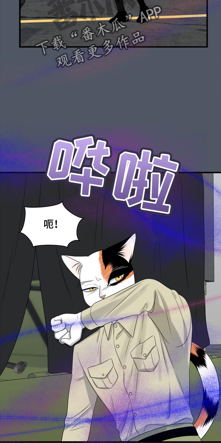 灵猫动漫漫画,第81章：【第二季】中弹2图