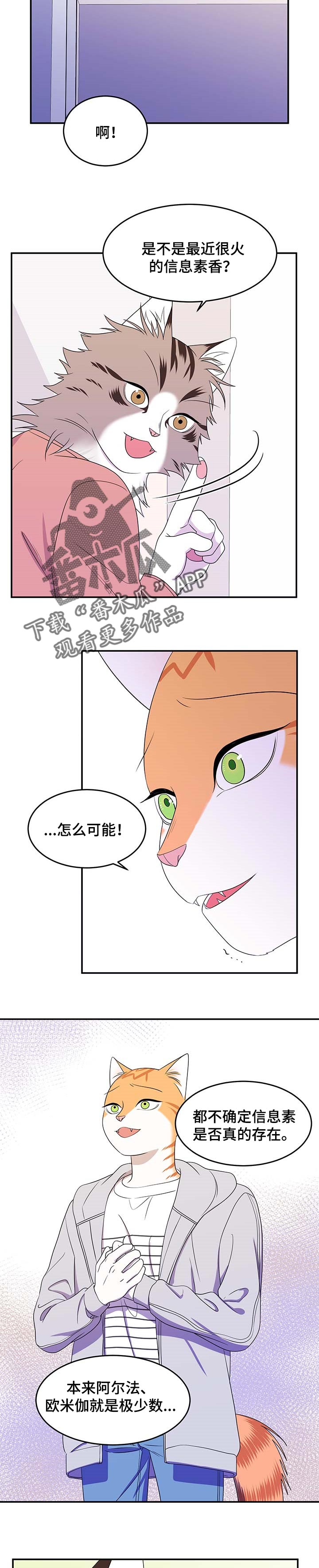 漫画灵猫欧米伽漫画,第19章：信息素2图