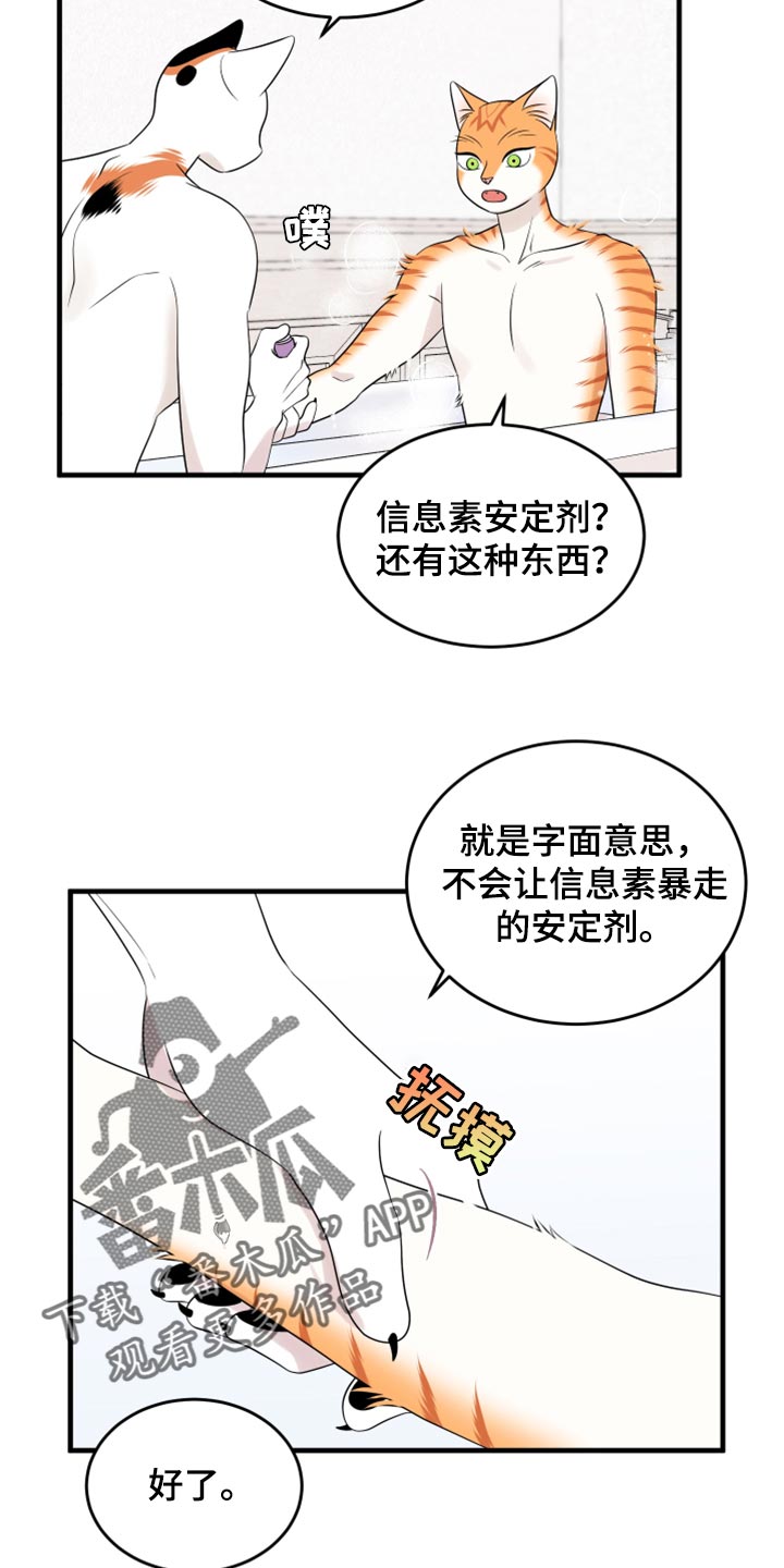 欧米伽3对猫咪有什么作用漫画,第69章：【第二季】责任与义务1图