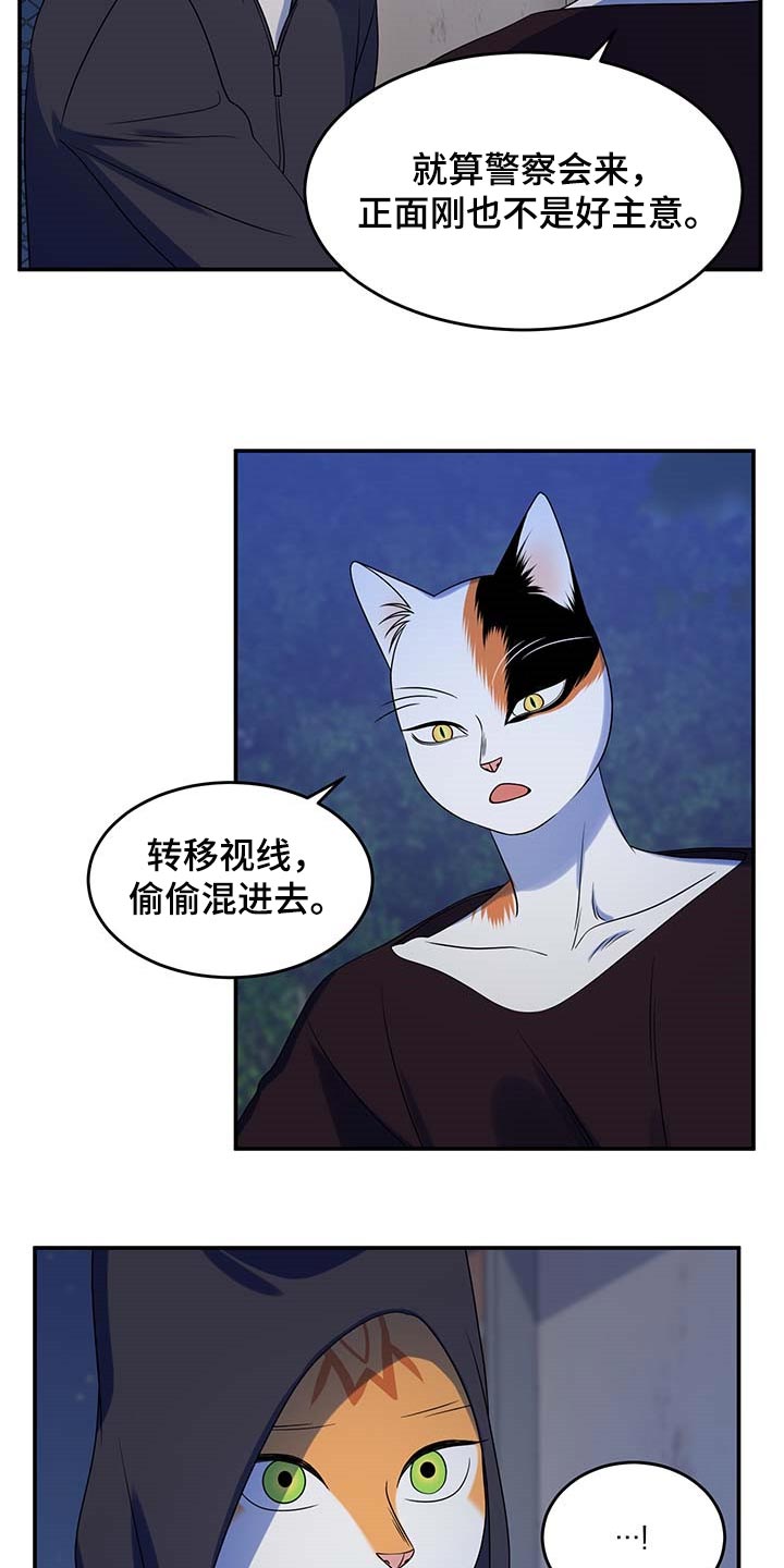 灵猫欧米伽漫画下拉漫画,第37章：我很强的2图