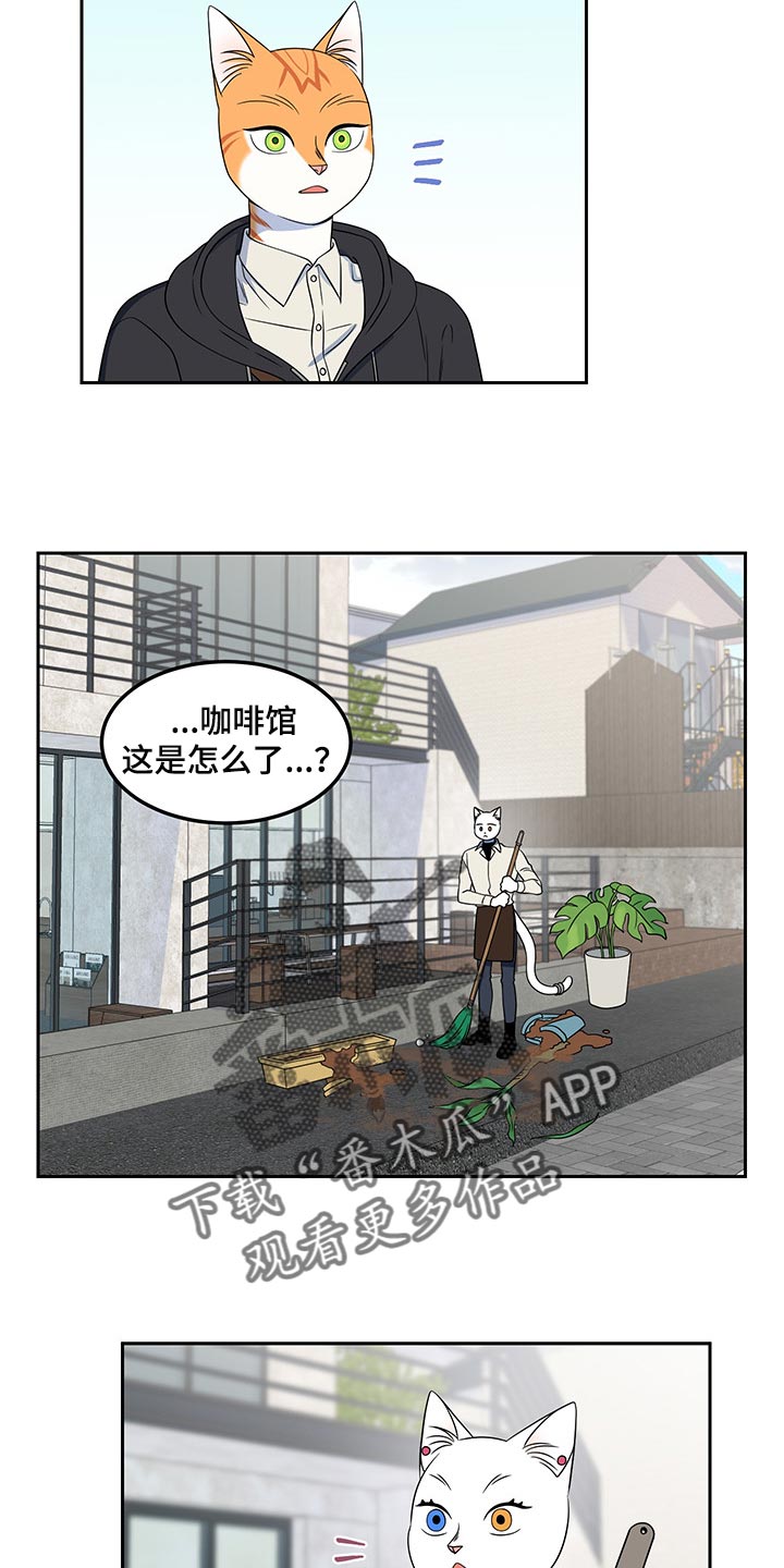 灵猫传陆知也漫画,第43章：世道不太平2图