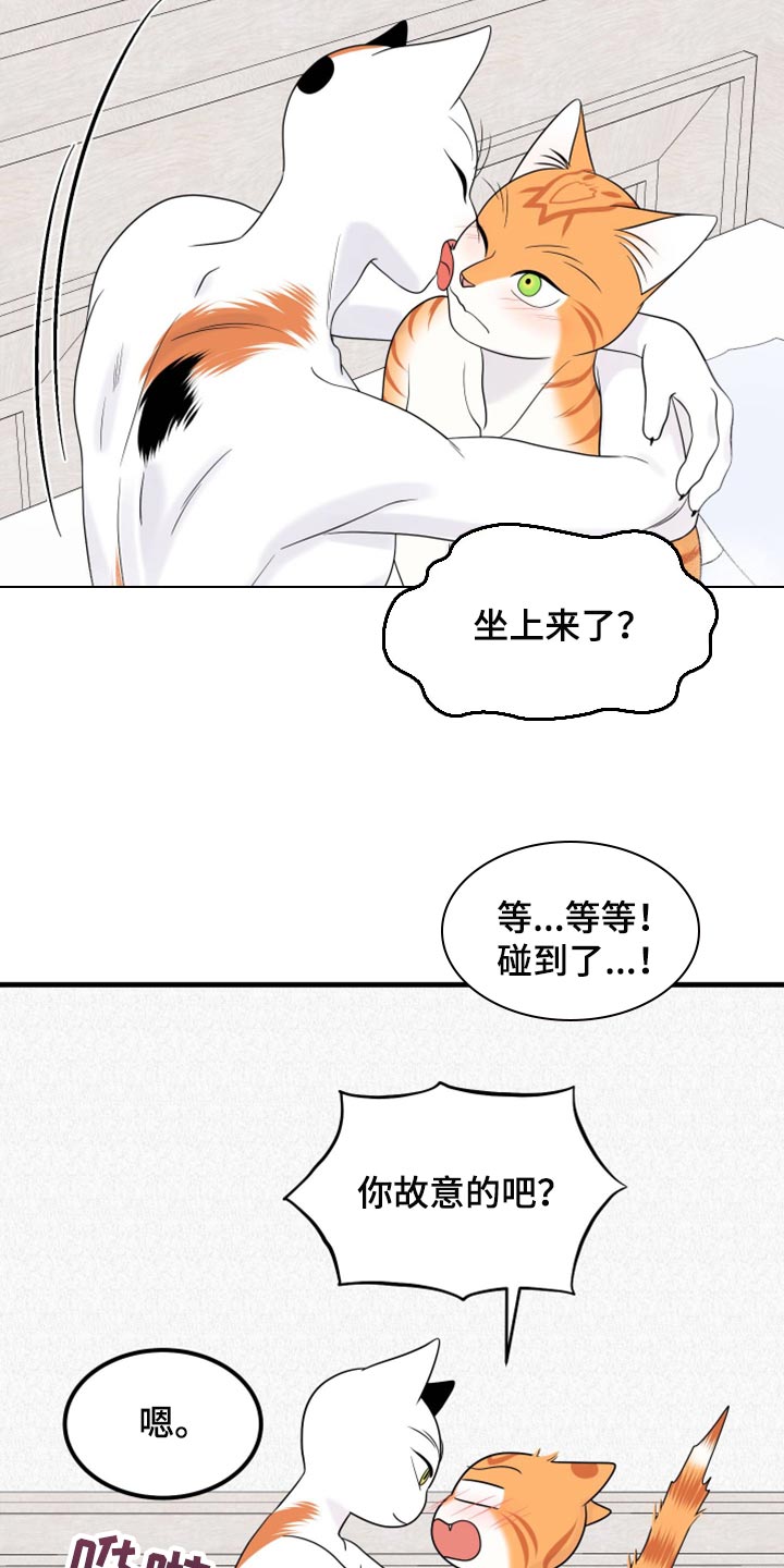 漫画灵猫欧米伽漫画,第72章：【第二季】这是折磨啊2图