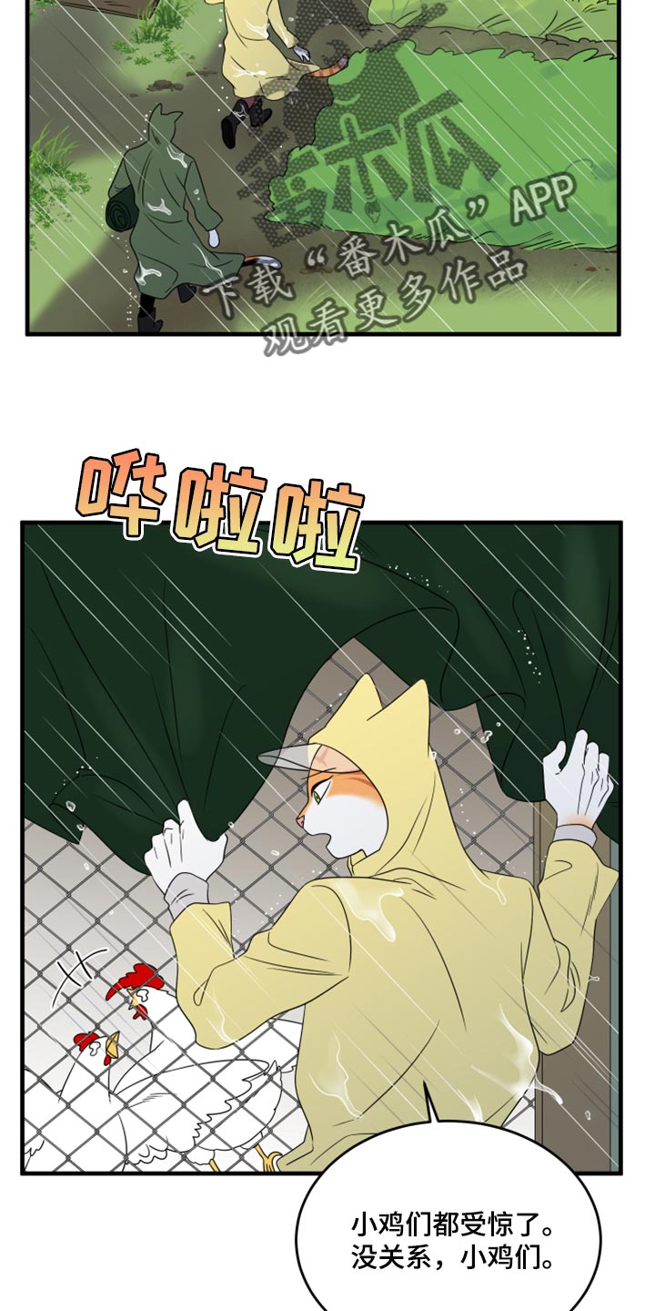 灵猫欧米伽漫画全集免费观看漫画,第88章：【第二季】台风1图