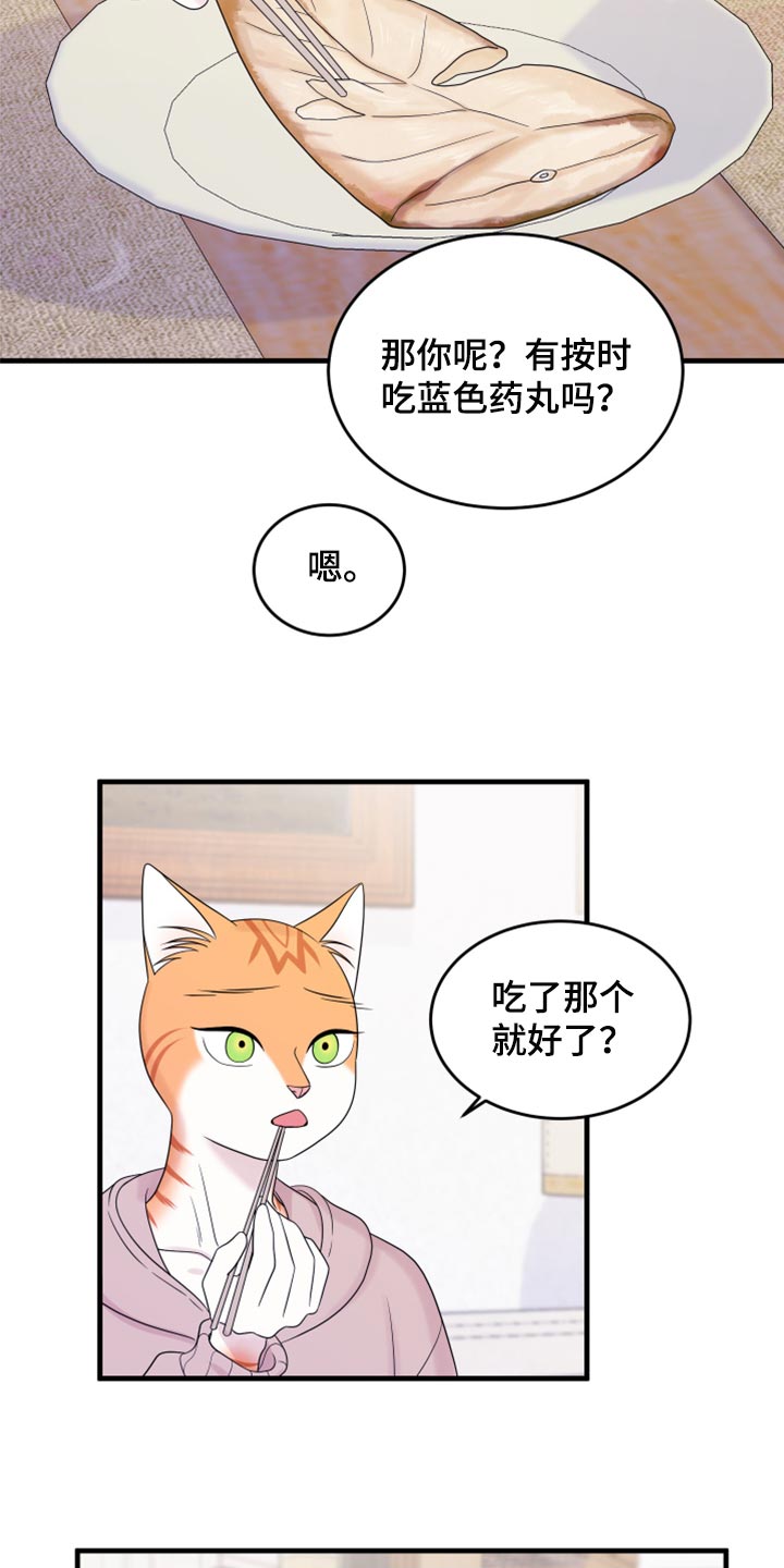 omega猫漫画,第73章：【第二季】绑架灵猫1图