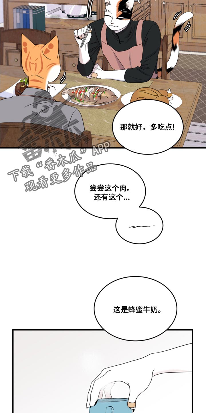 灵猫欧米伽双猫漫画,第100章：【第二季】那我们出去吧2图