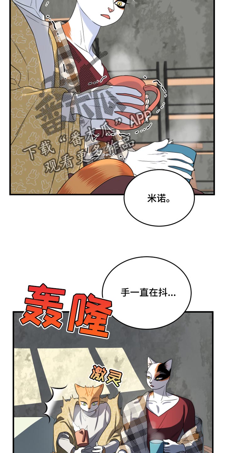 灵猫欧米伽漫画全集免费观看漫画,第89章：【第二季】乱七八糟2图