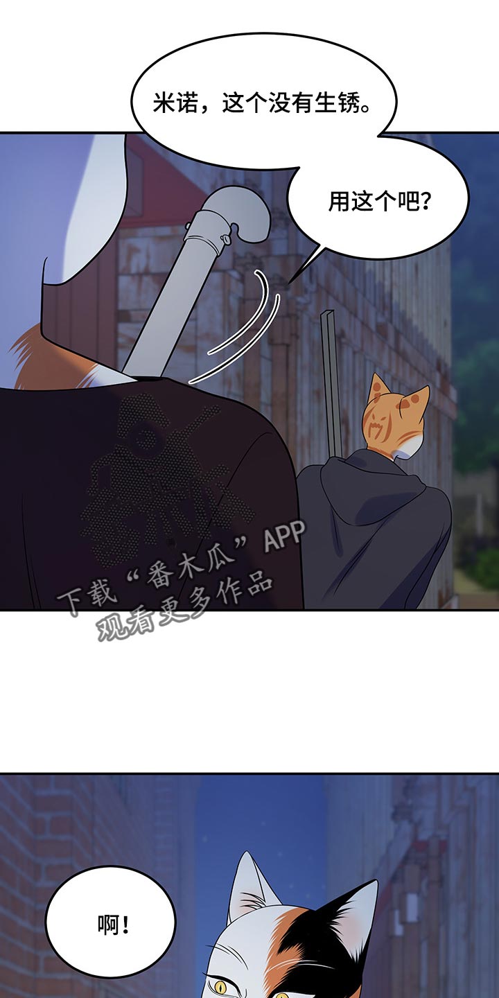 灵猫欧米茄画涯漫画,第36章：道歉1图