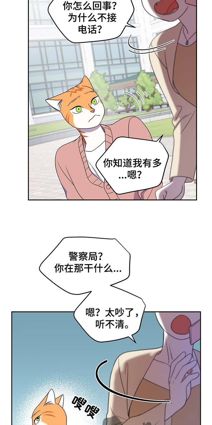 灵猫动漫漫画,第42章：联系方式1图