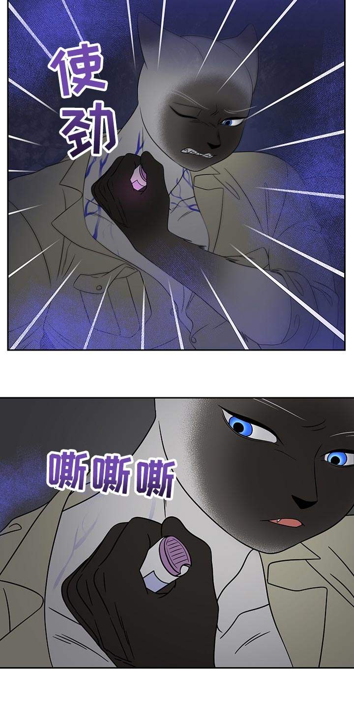 灵猫苏苏漫画,第40章：平凡的生活1图