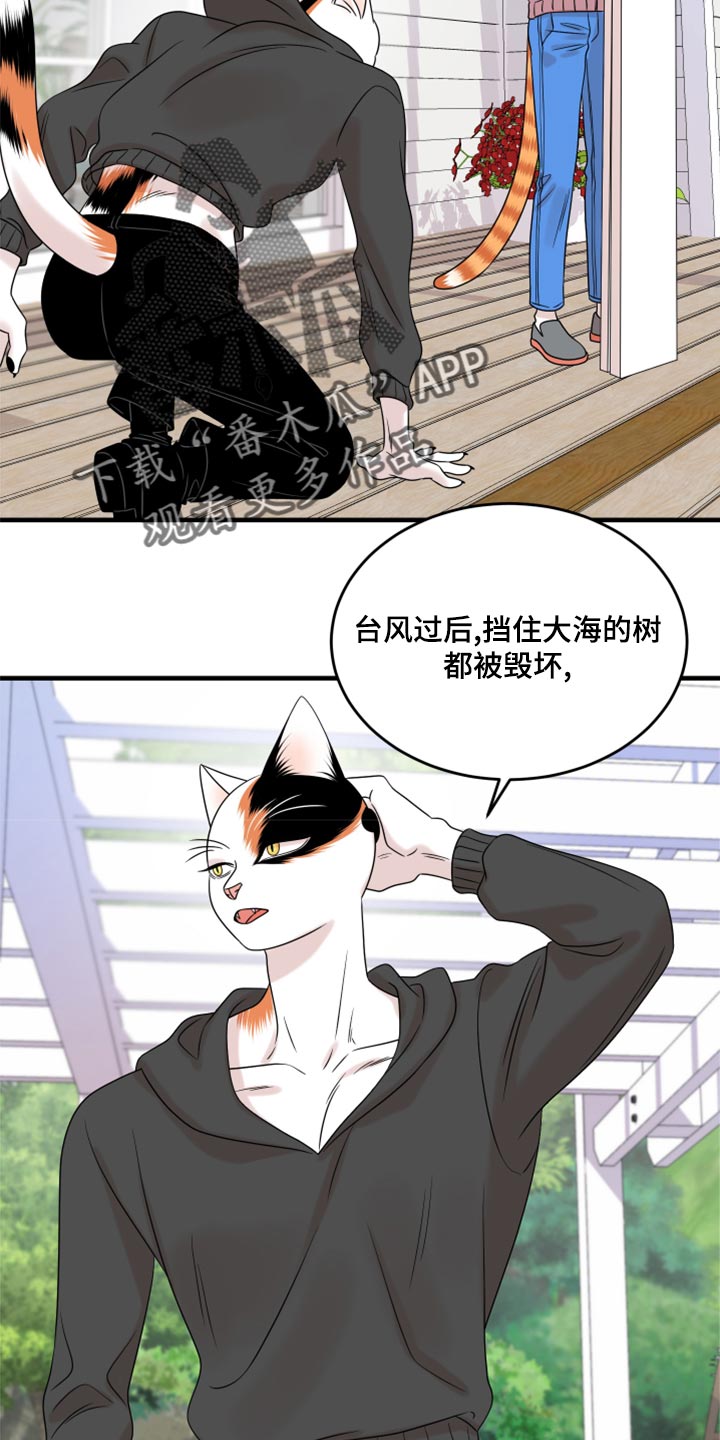 灵猫欧米伽是双男主吗漫画,第92章：【第二季】改变的勇气1图