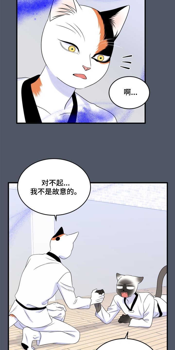 漫画灵猫欧米伽漫画,第76章：【第二季】有什么特别2图