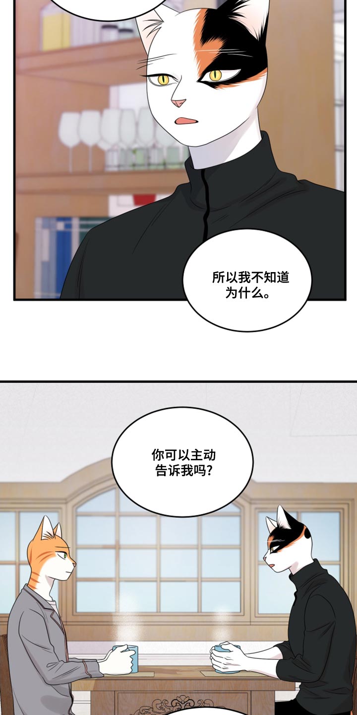 灵猫欧米伽漫画全集免费观看漫画,第100章：【第二季】那我们出去吧1图