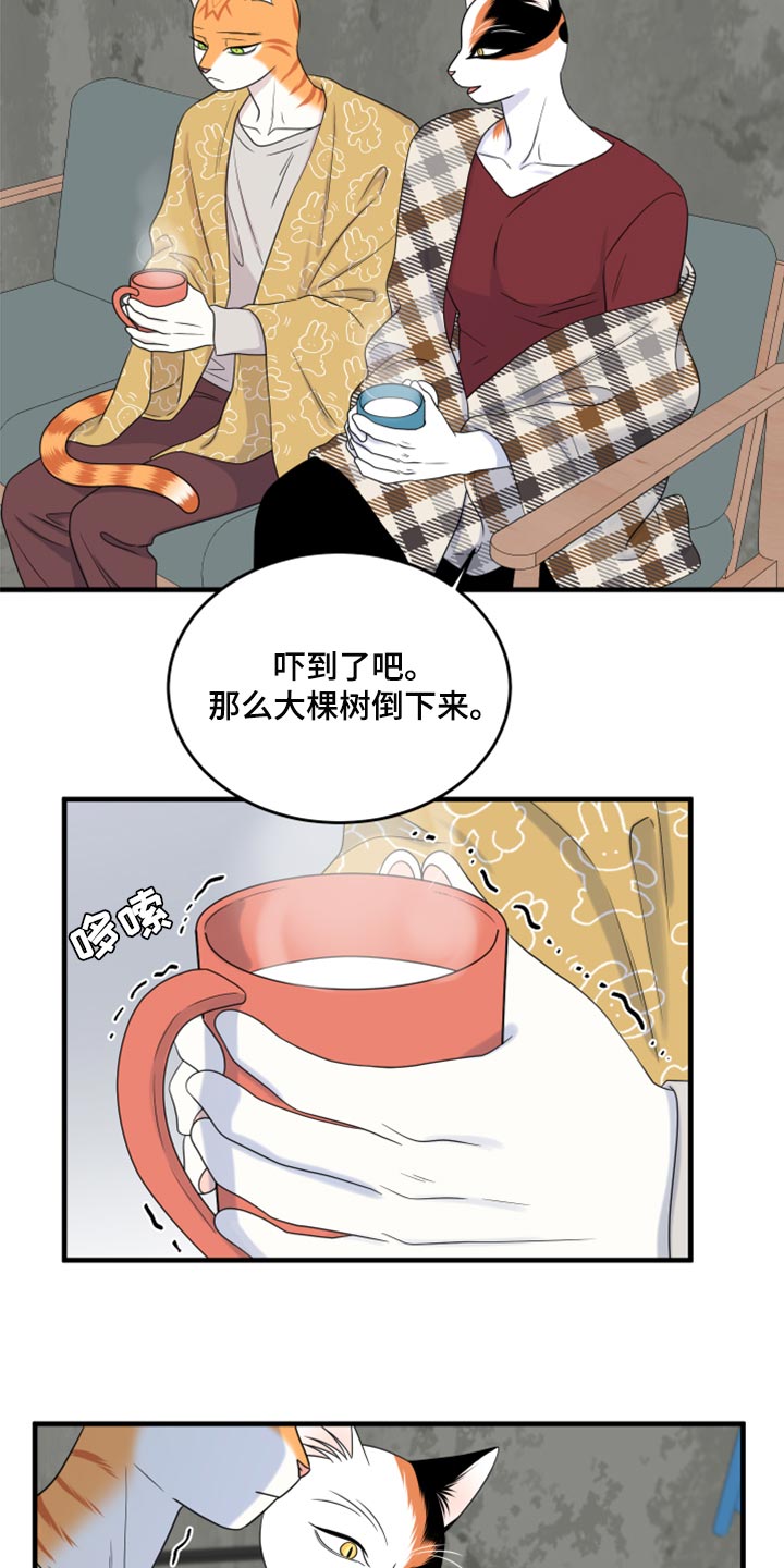 灵猫欧米伽漫画全集免费观看漫画,第89章：【第二季】乱七八糟1图