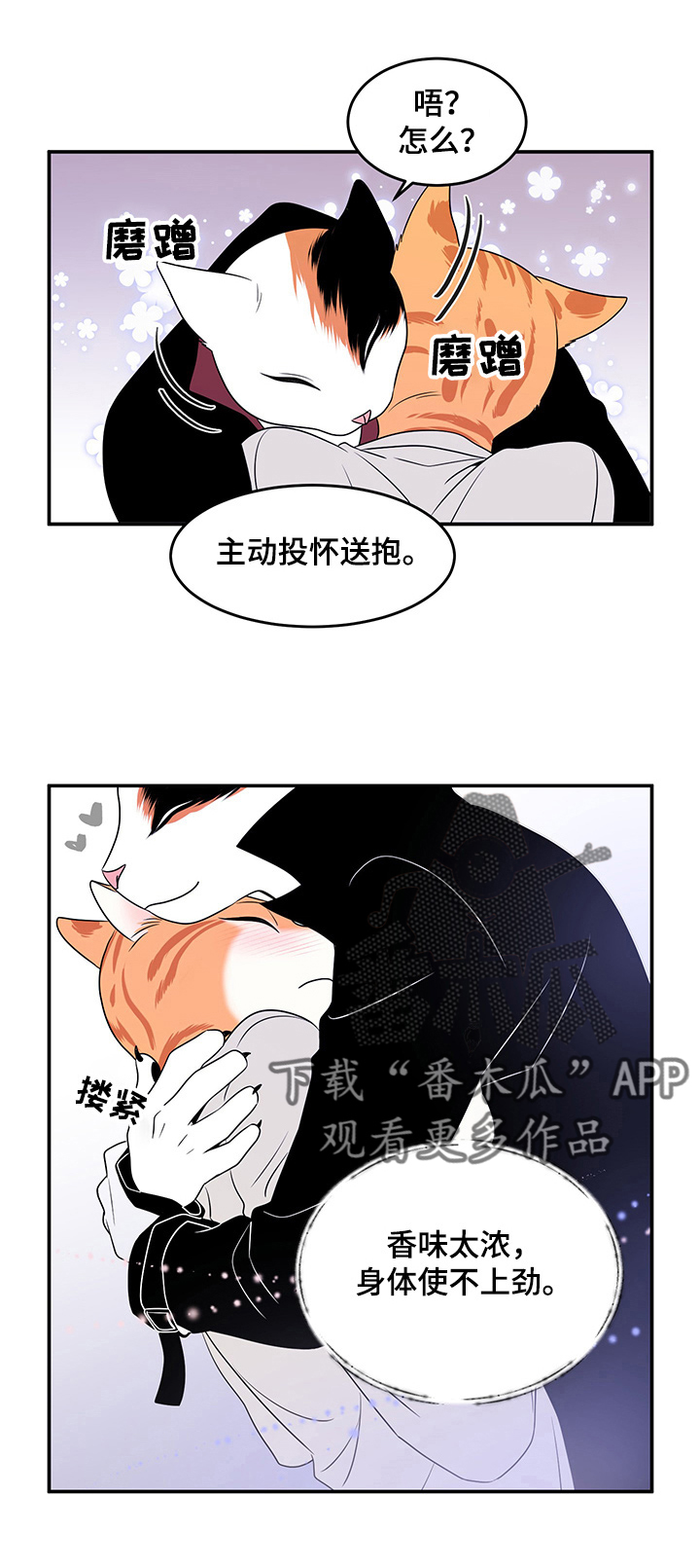 灵猫苏苏漫画,第3章：送抱1图