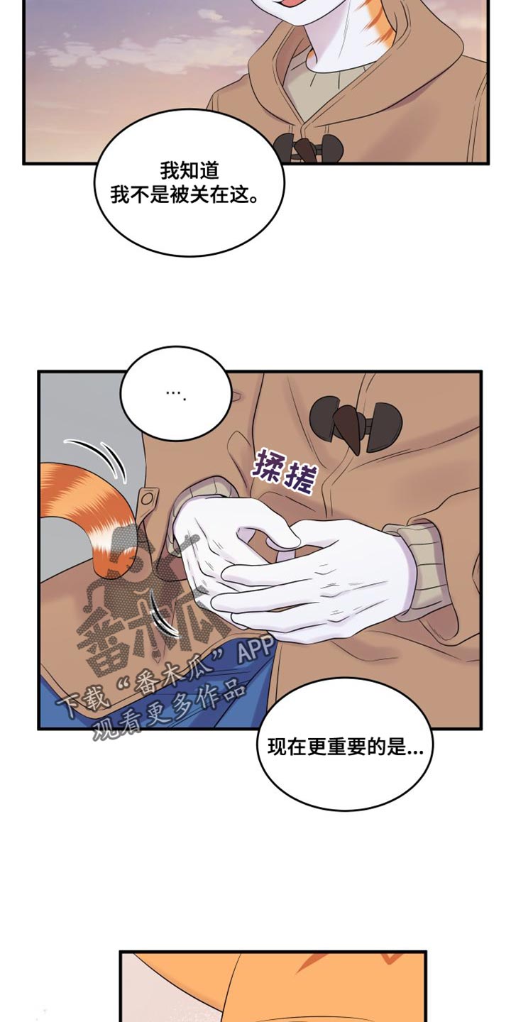 灵猫欧米伽免费版在哪里看漫画,第104章：【第二季】更重要的事1图