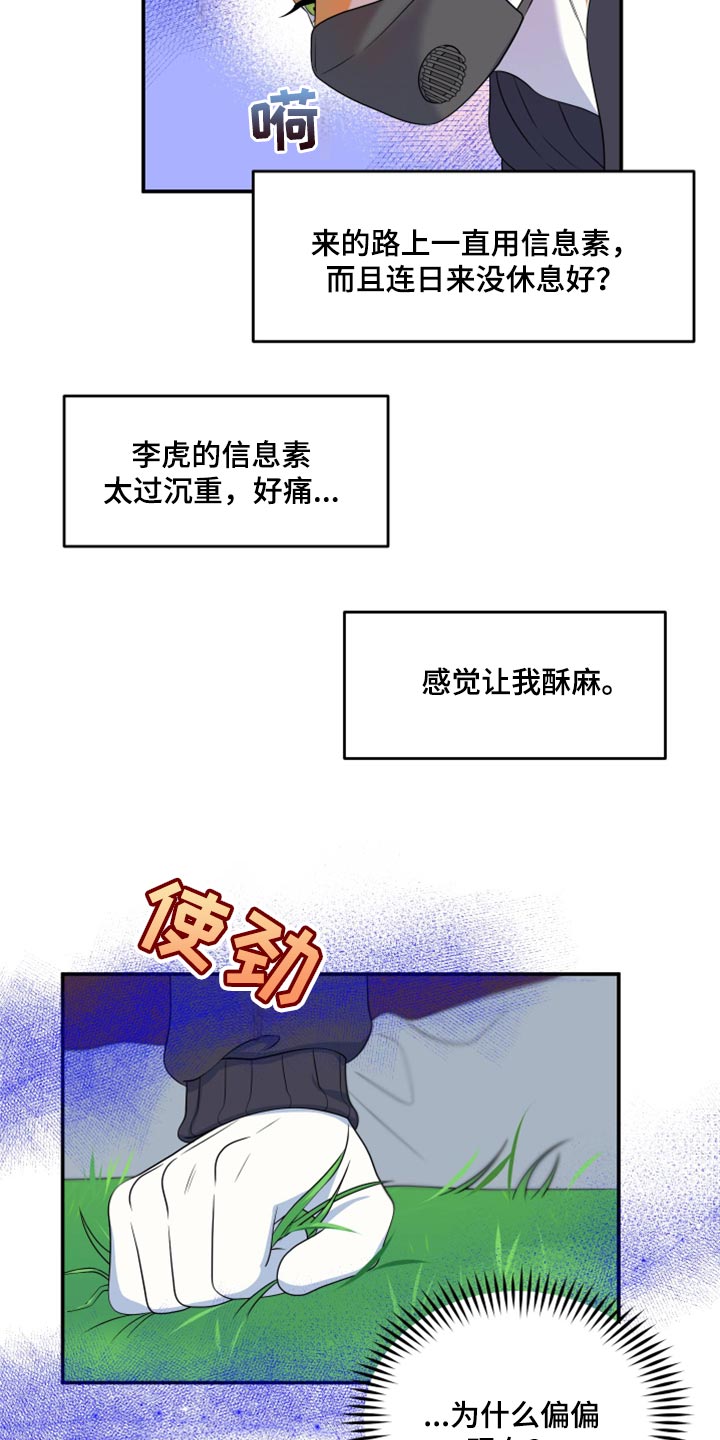 灵猫欧米伽高清漫画,第62章：【第二季】撑过这一次就行2图