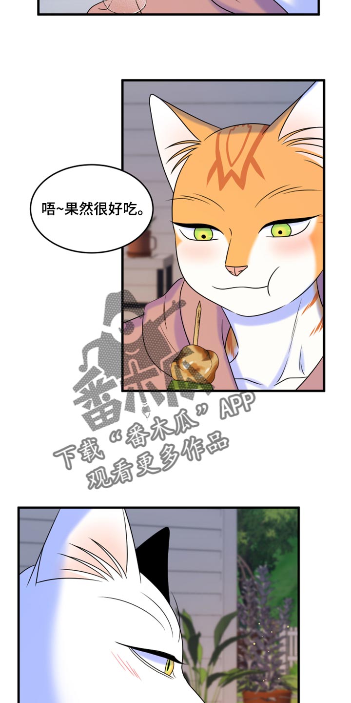 欧米伽3对猫的作用漫画,第93章：【第二季】希望尽早离开这里2图