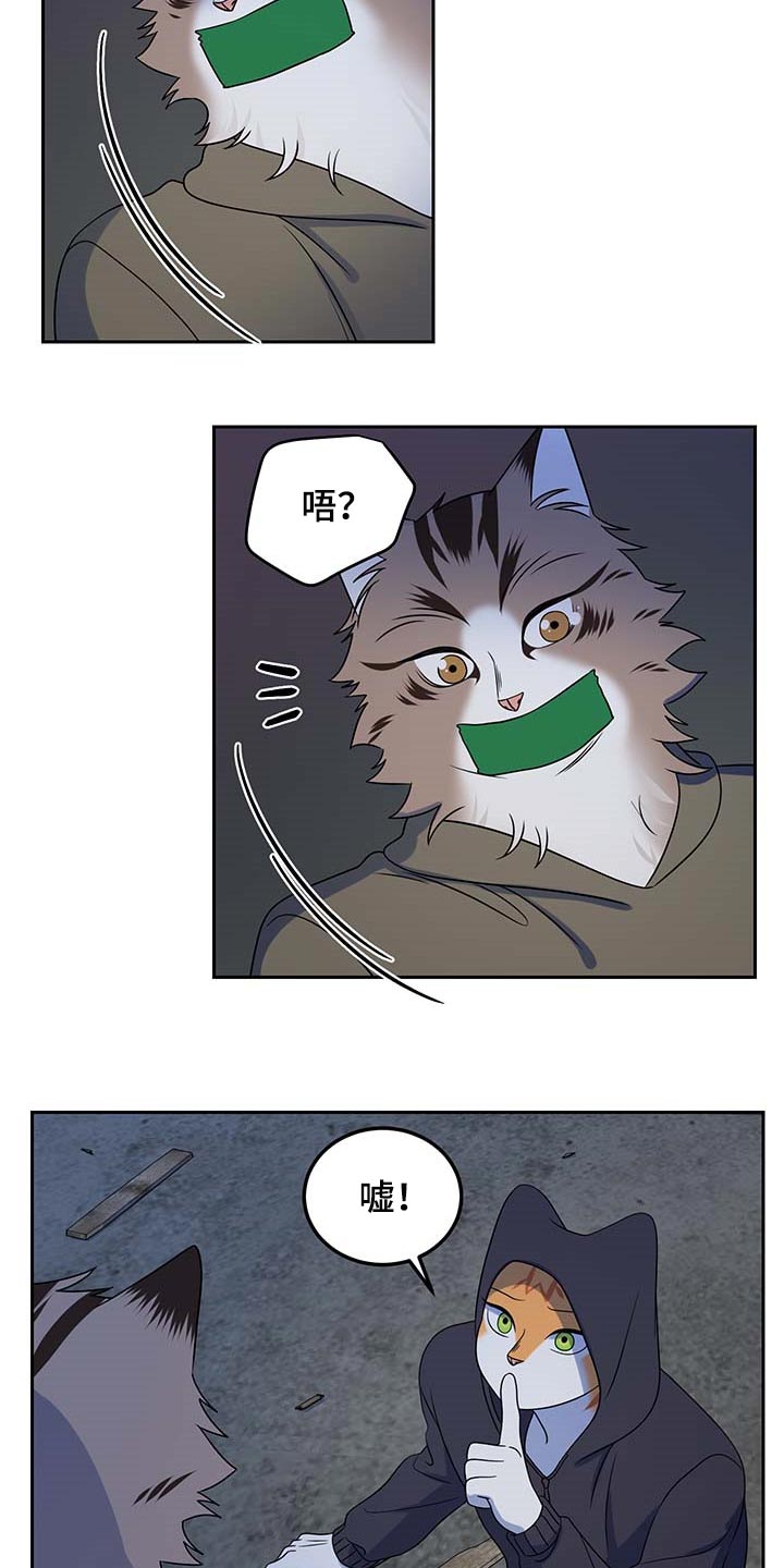 灵猫小说漫画,第38章：罪有应得2图