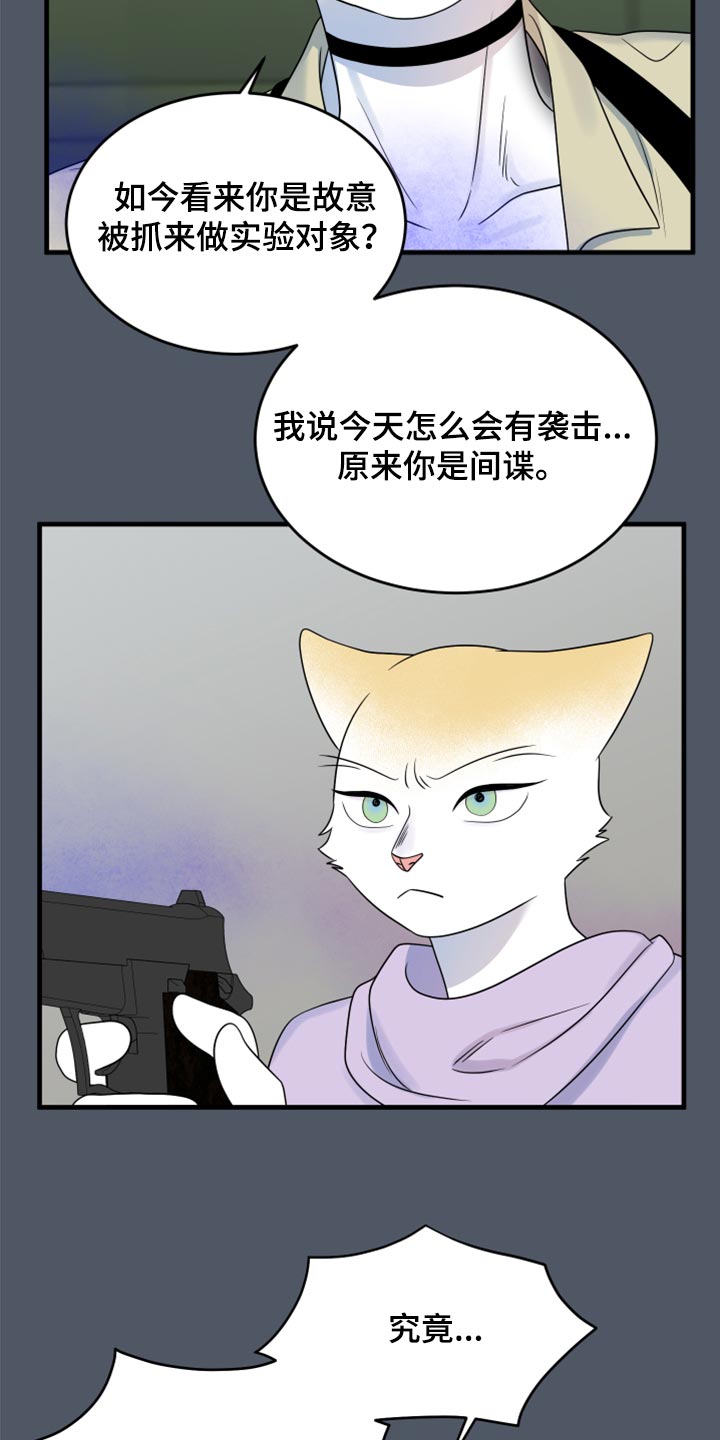 灵猫欧米伽漫画在哪看漫画,第84章：【第二季】爆炸1图