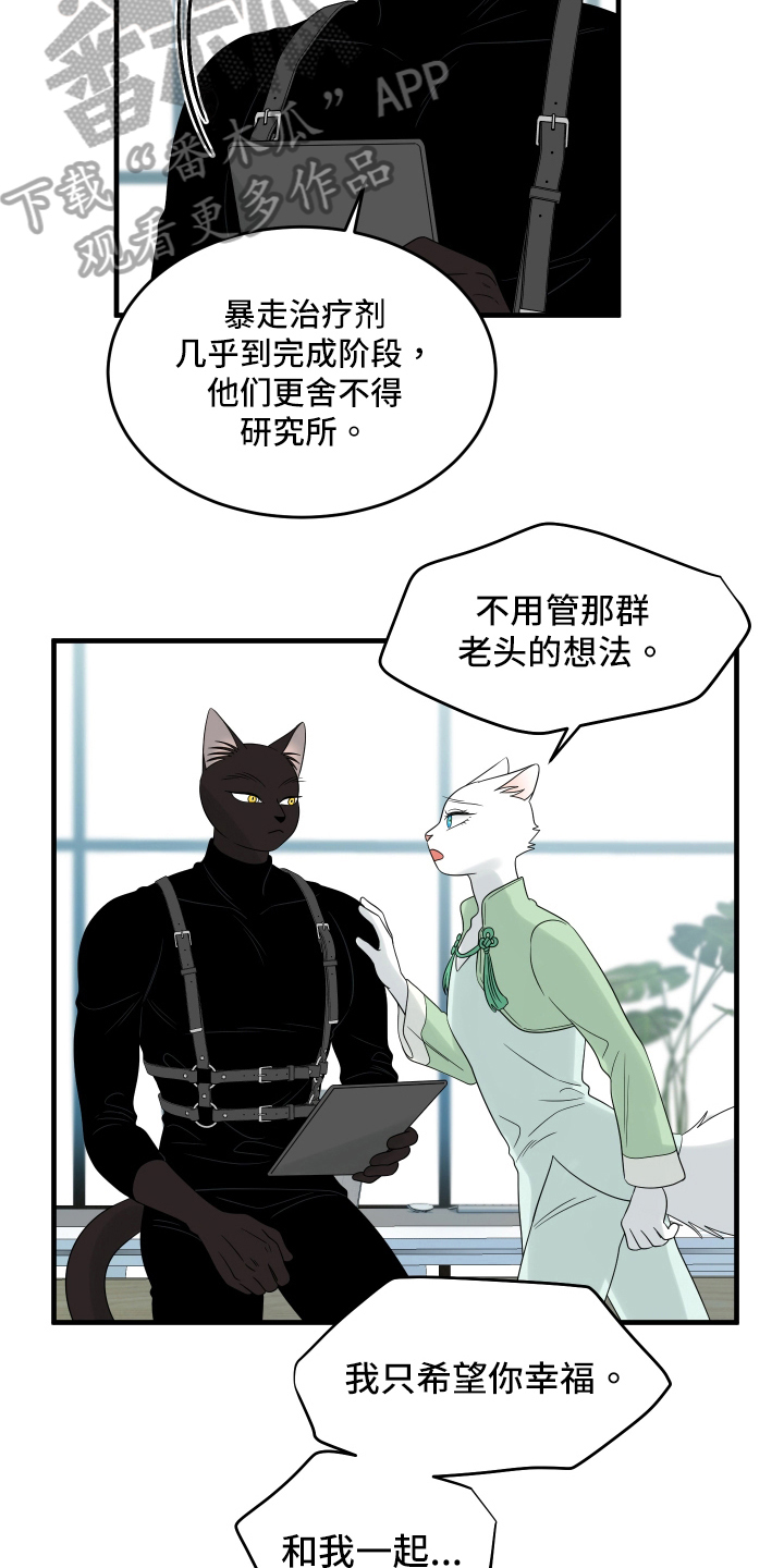 灵猫科和猫科的区别漫画,第107章：【第二季】单纯2图