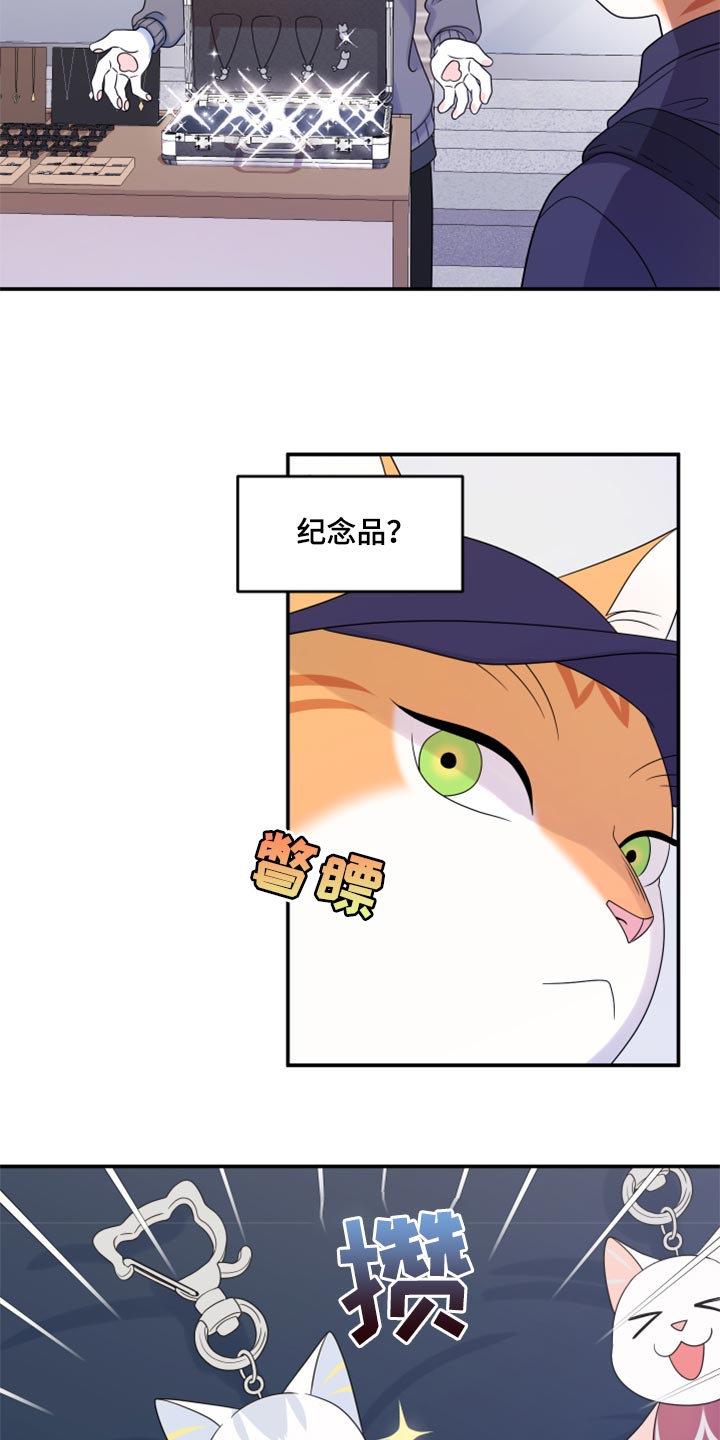 灵猫欧米伽免费阅读漫画,第56章：【第二季】人工阿尔法2图