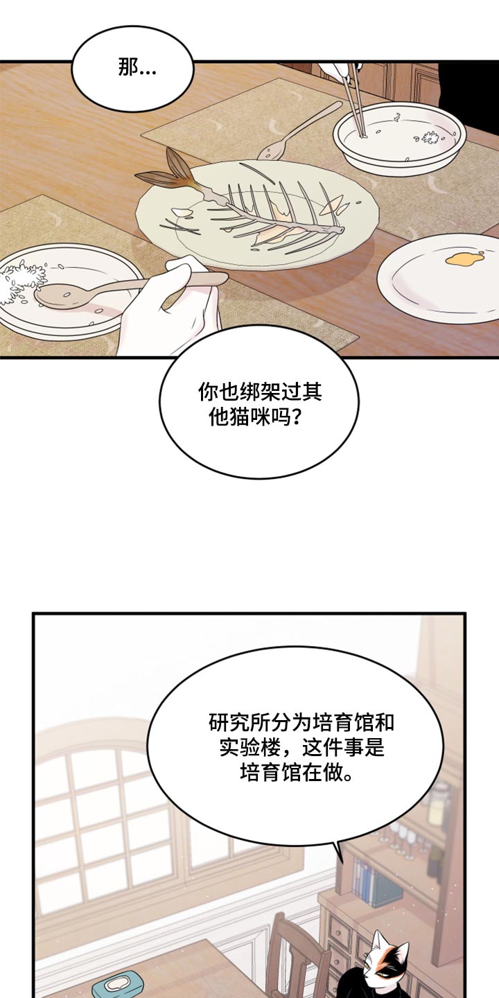 omega猫漫画,第73章：【第二季】绑架灵猫2图