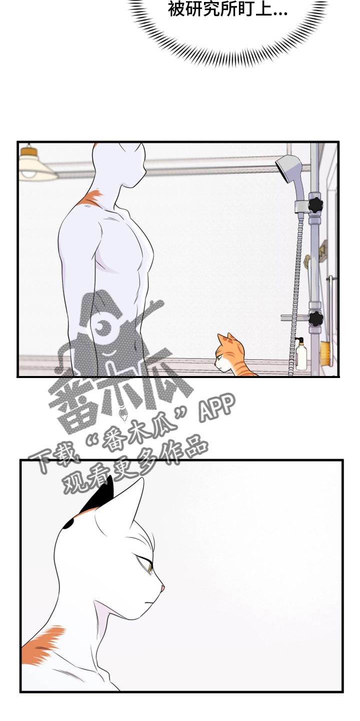 灵猫欧米伽免费阅读漫画,第71章：【第二季】撒娇1图