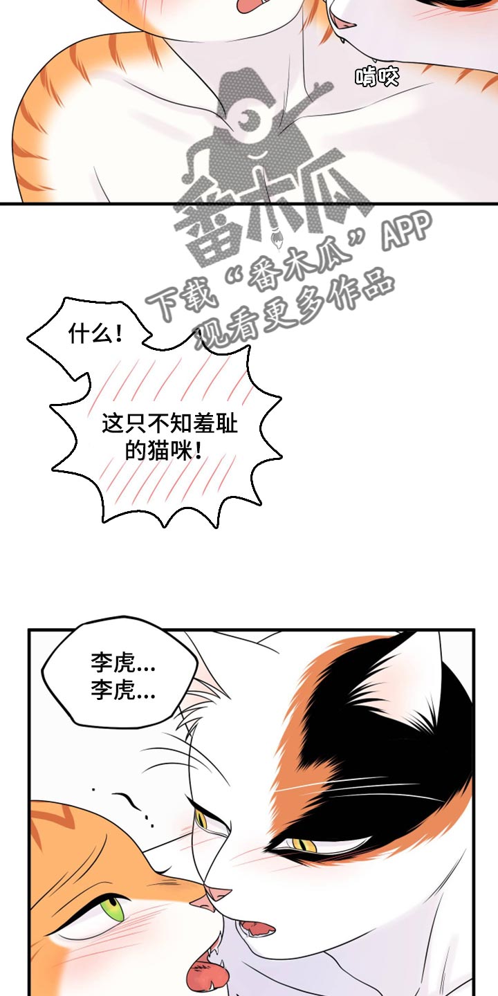 灵猫欧米伽漫画,第72章：【第二季】这是折磨啊2图