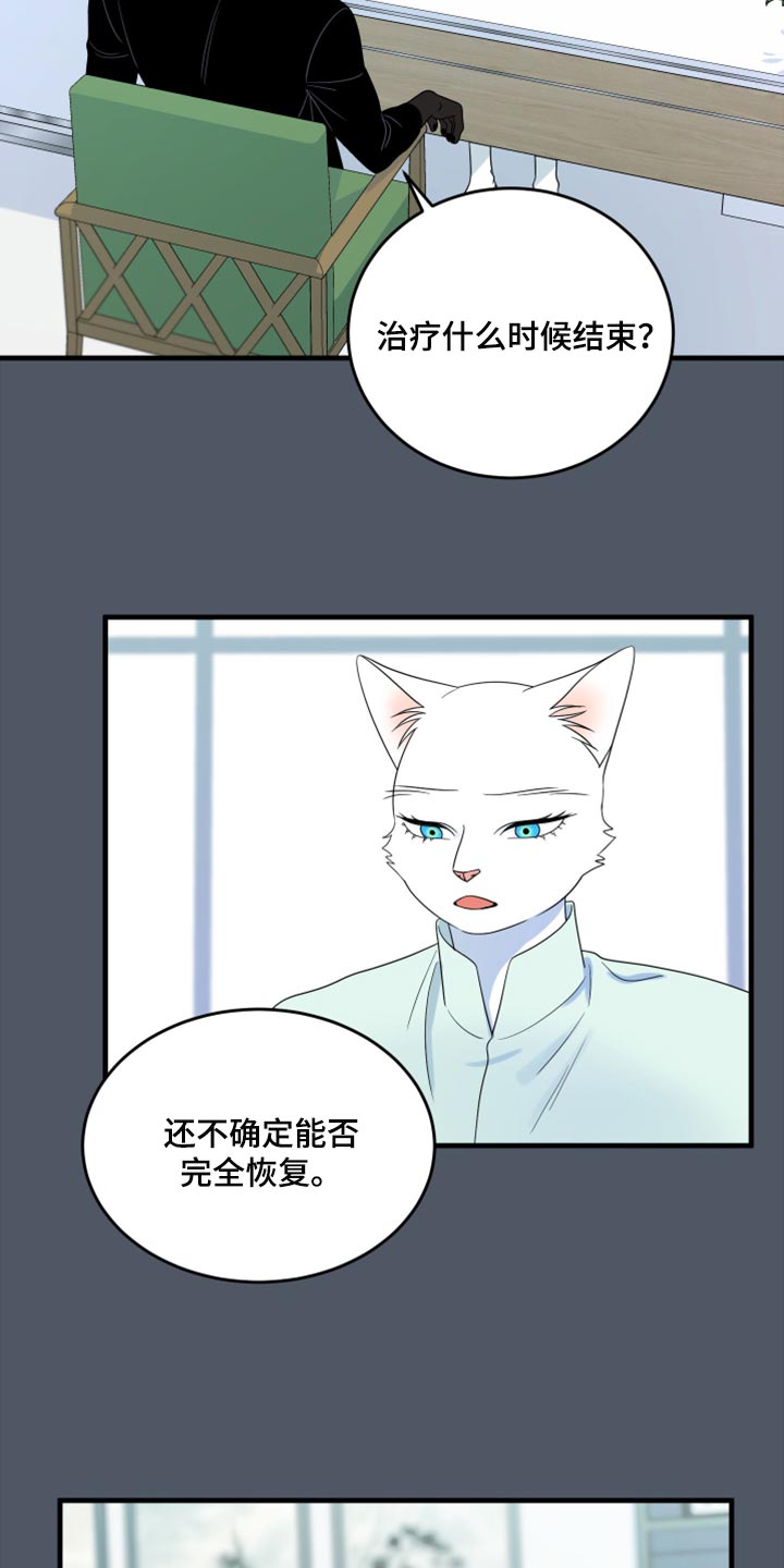 灵猫欧米伽大结局漫画,第86章：【第二季】忍耐2图