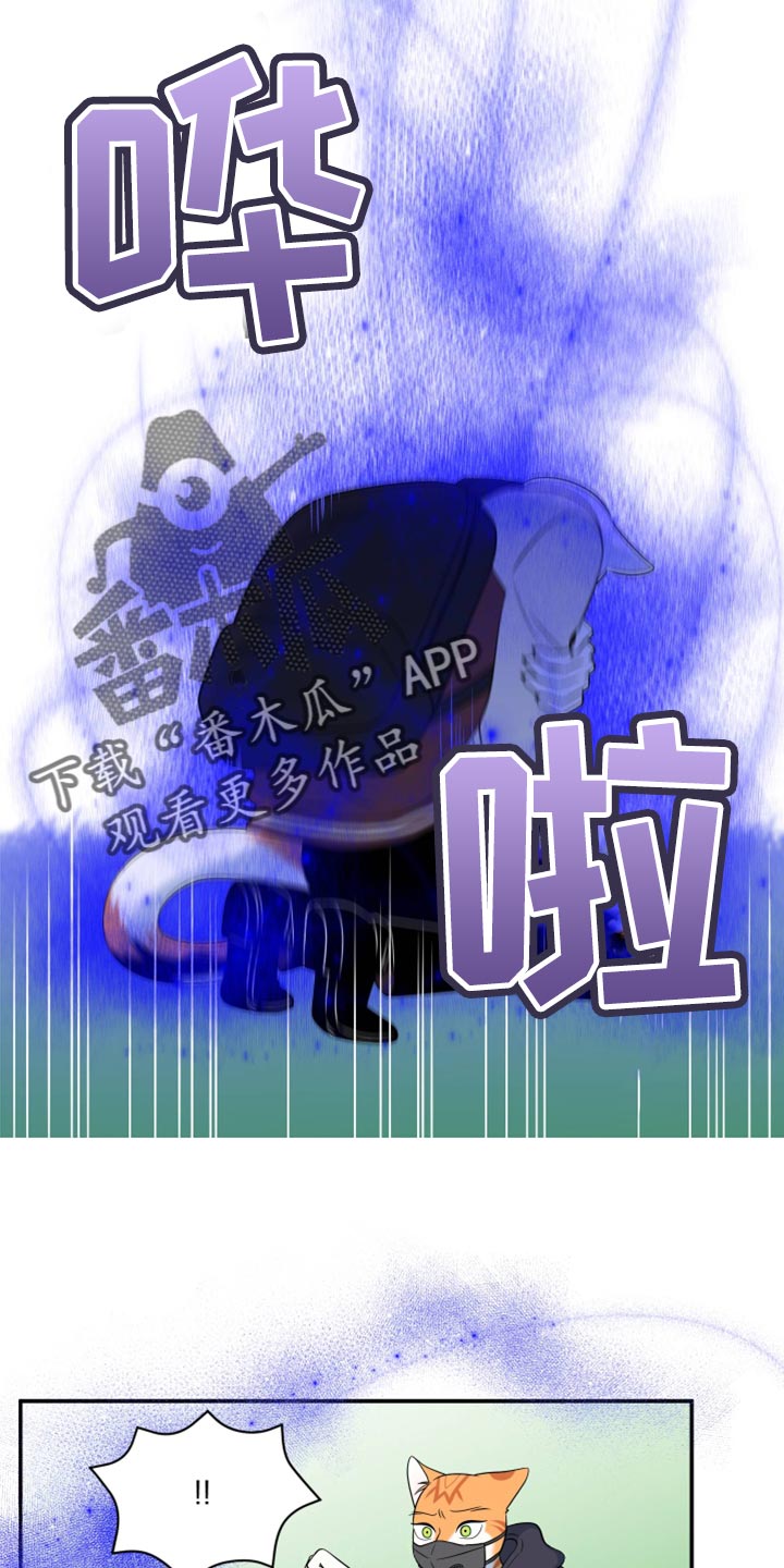 灵猫是什么动物漫画,第62章：【第二季】撑过这一次就行2图