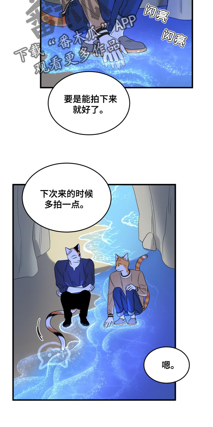 漫画灵猫欧米伽漫画,第95章：【第二季】害怕洞穴2图